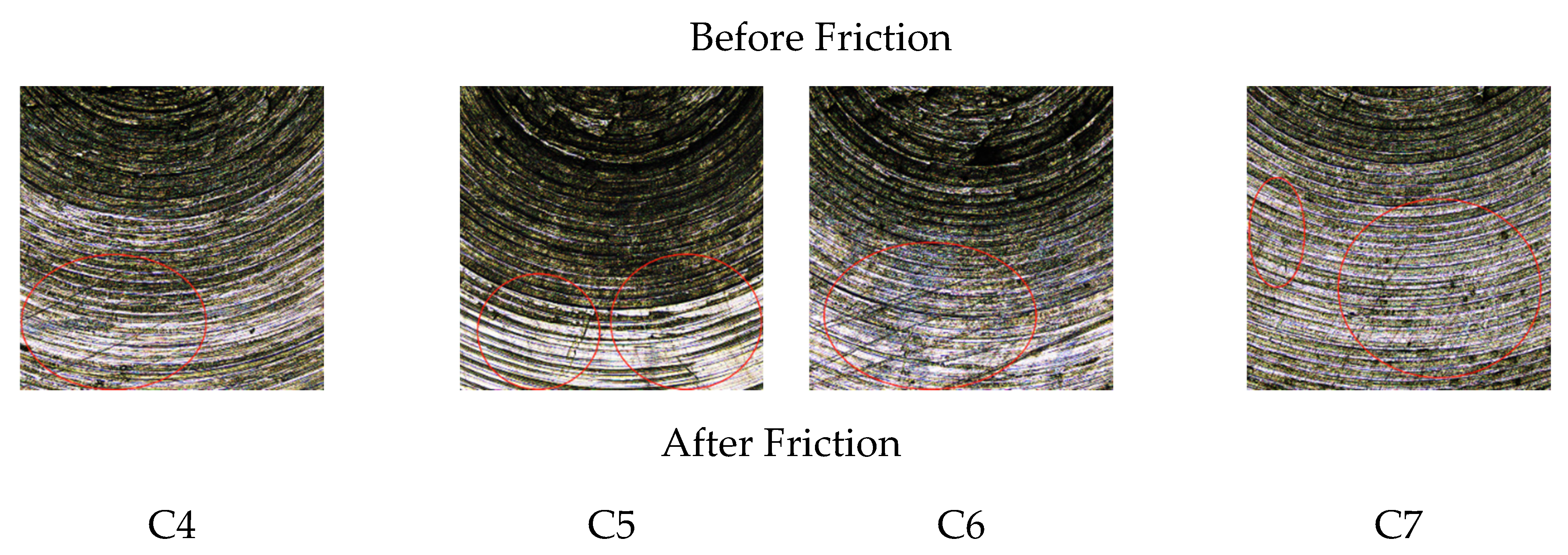 Polymers 14 03731 g008b
