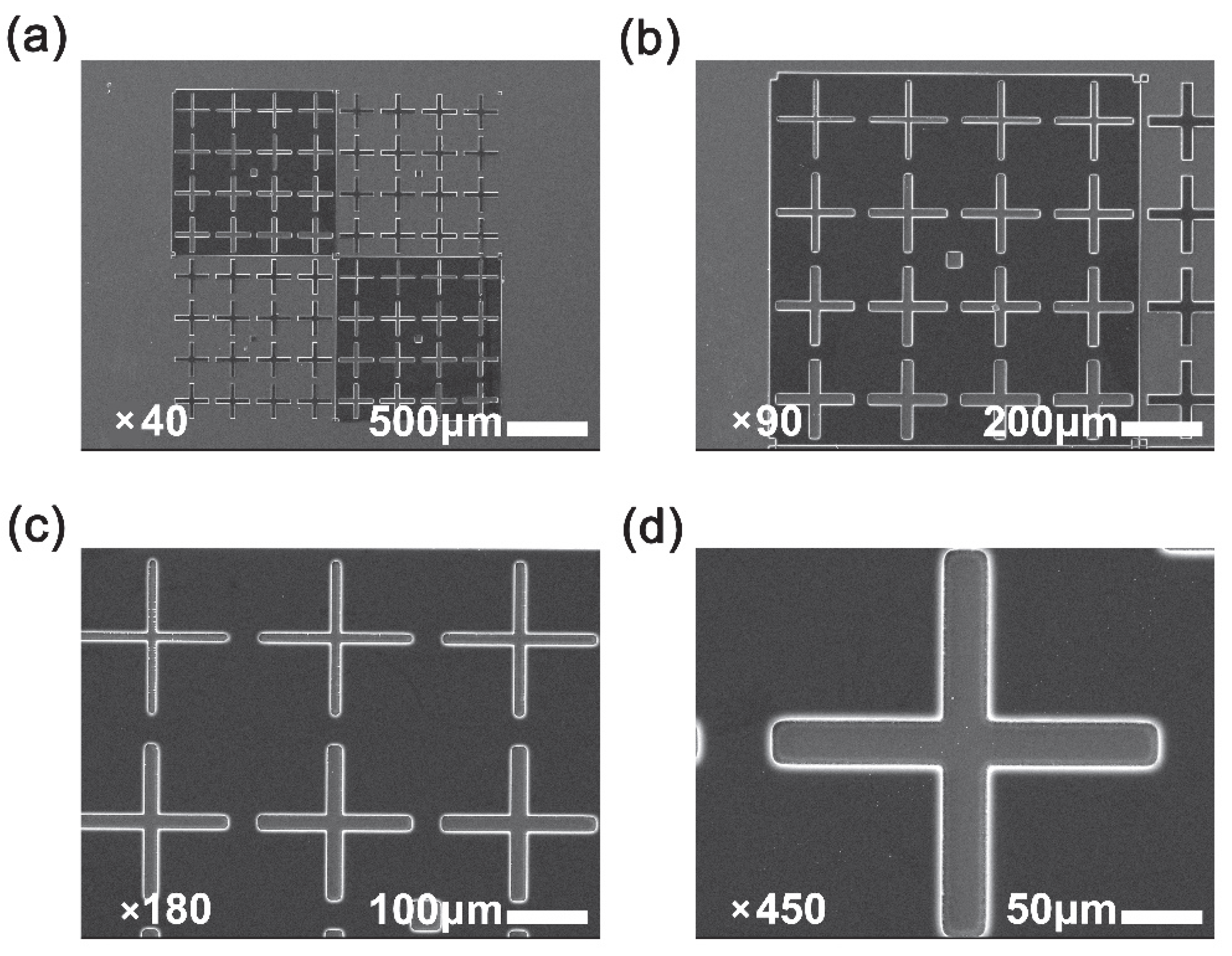 Polymers 14 03733 g009