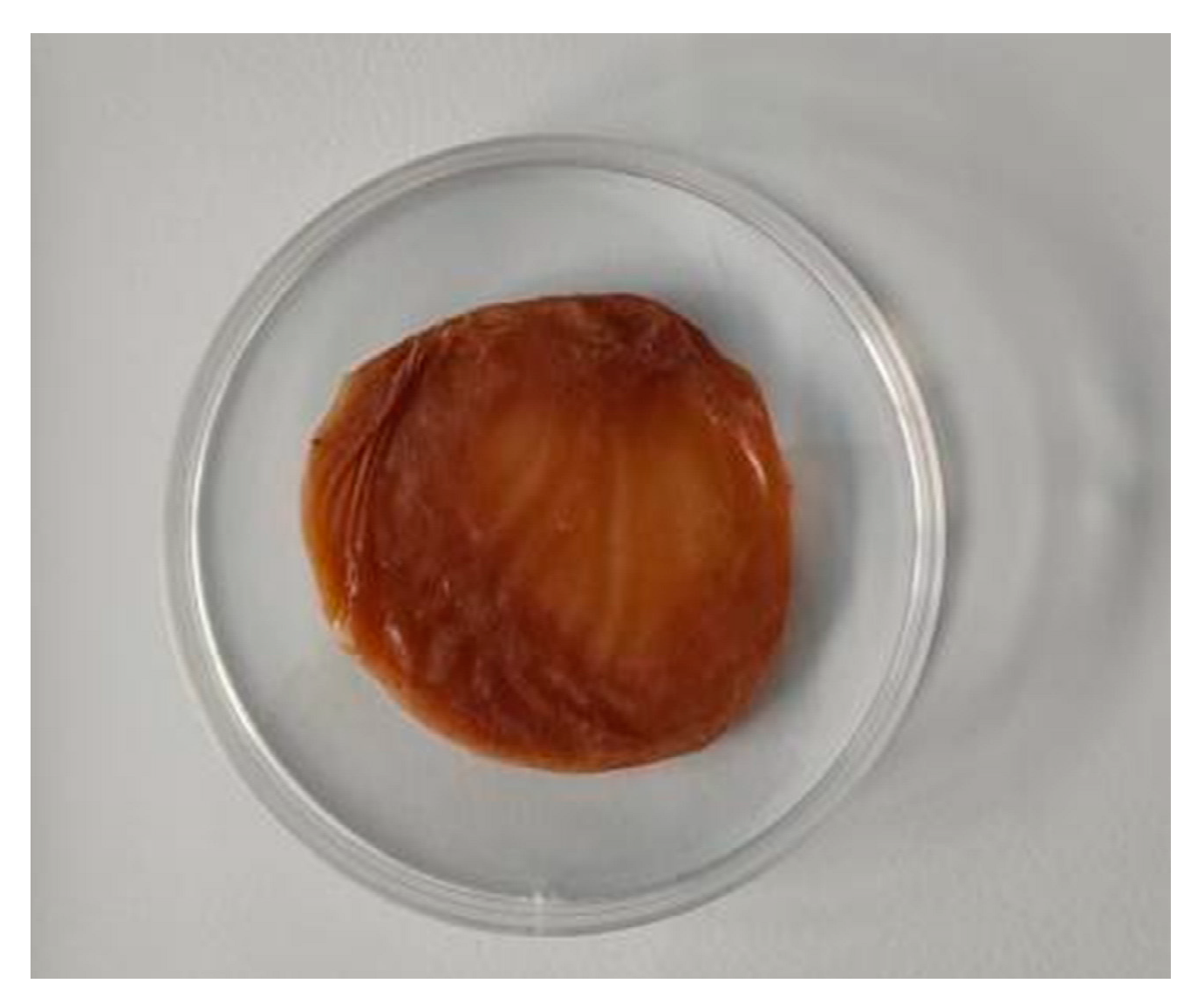 Polymers 14 03734 g001