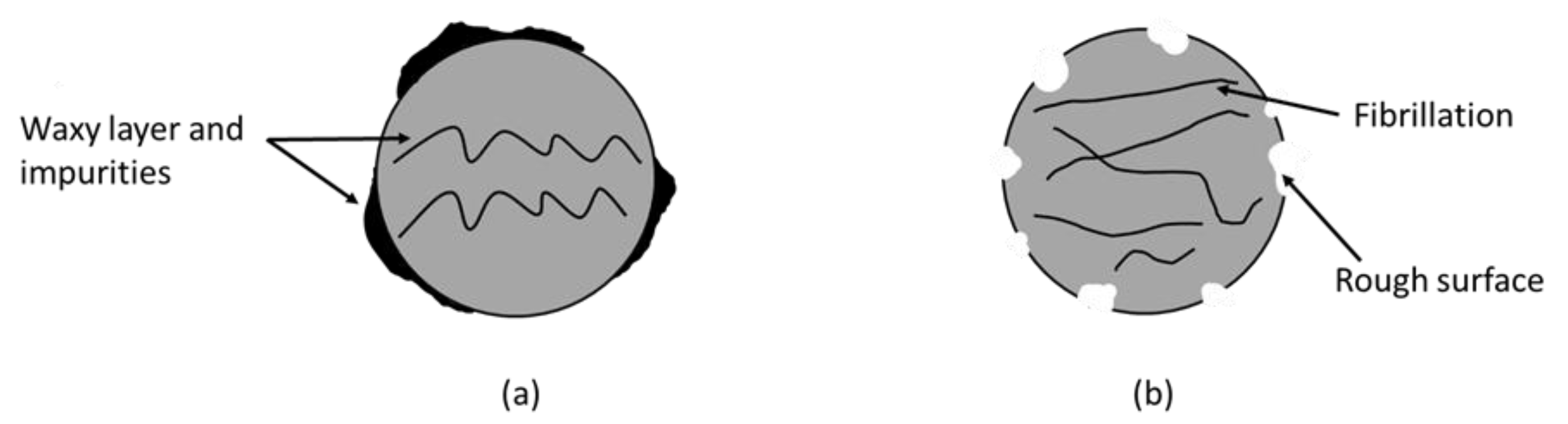 Polymers 14 03737 g003