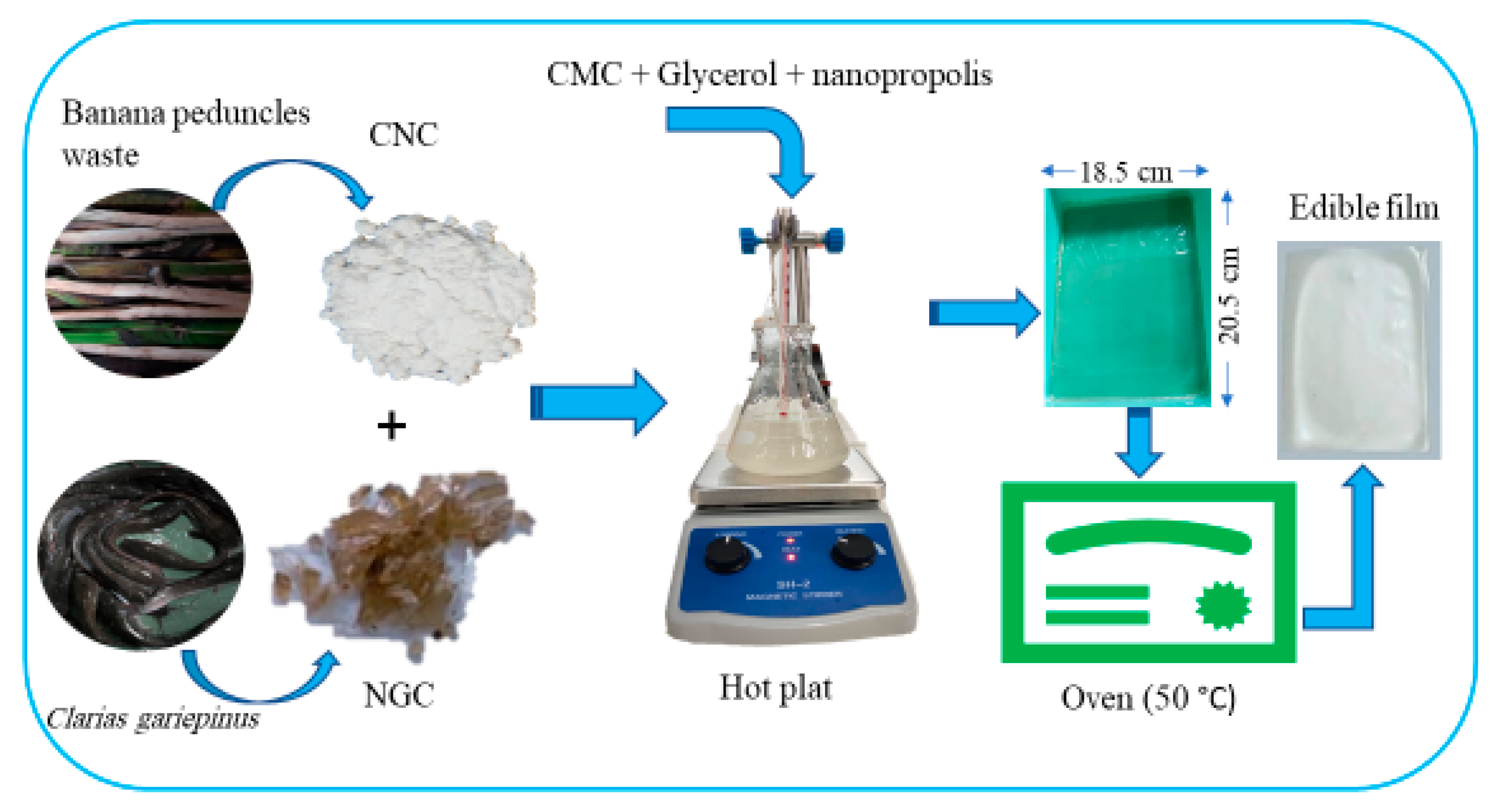 Polymers 14 03738 g001