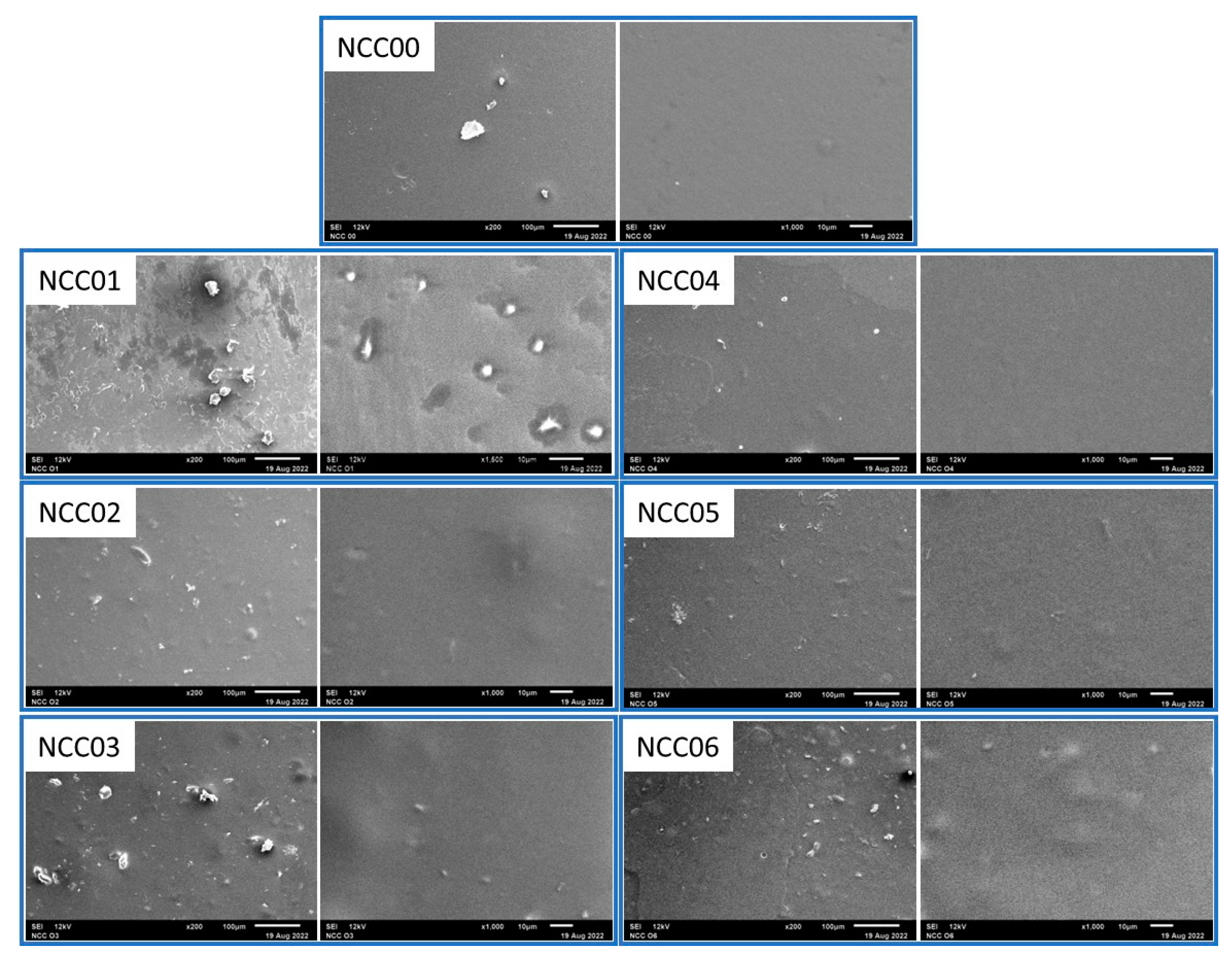 Polymers 14 03738 g005