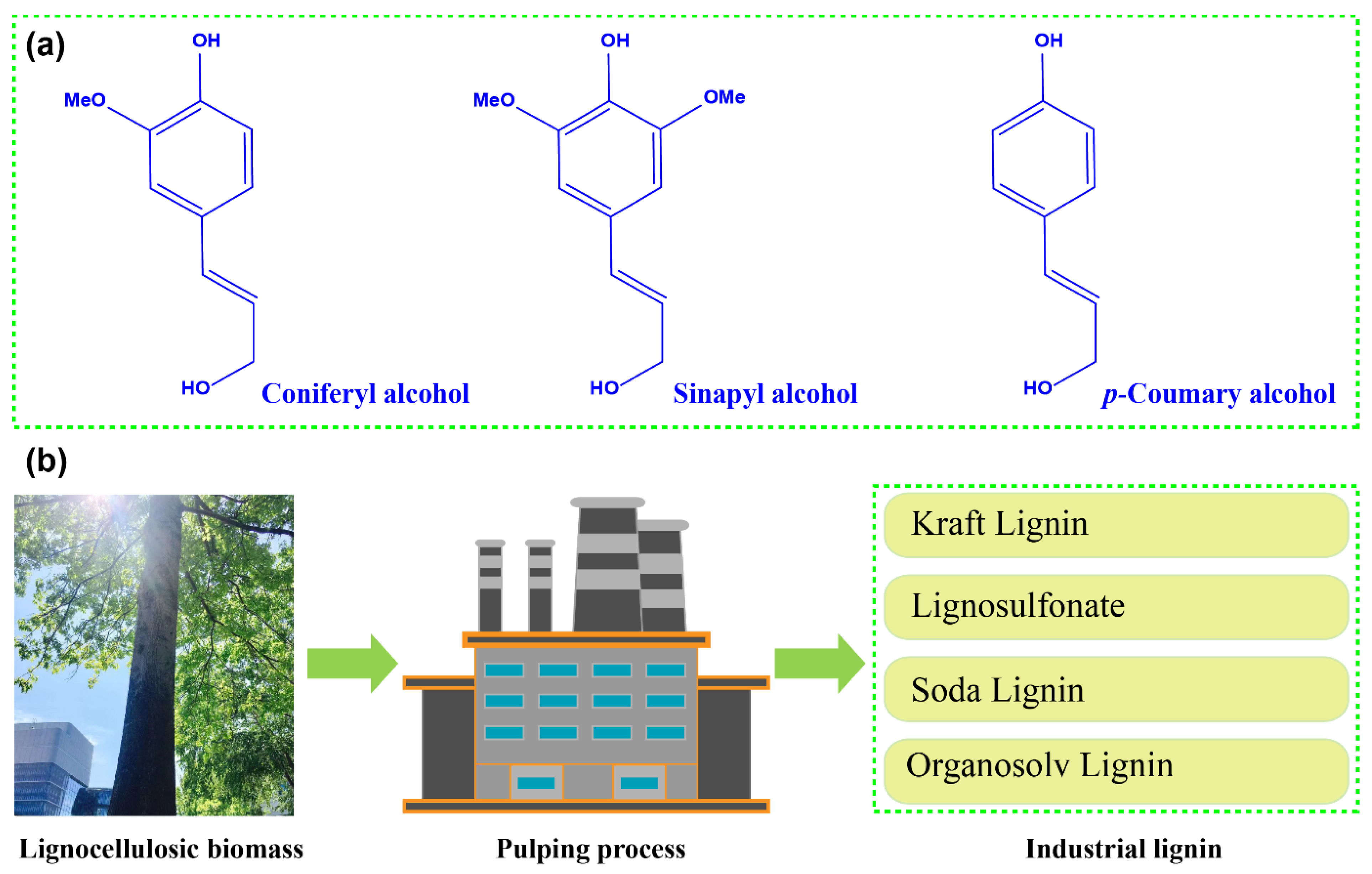 Polymers 14 03739 g002
