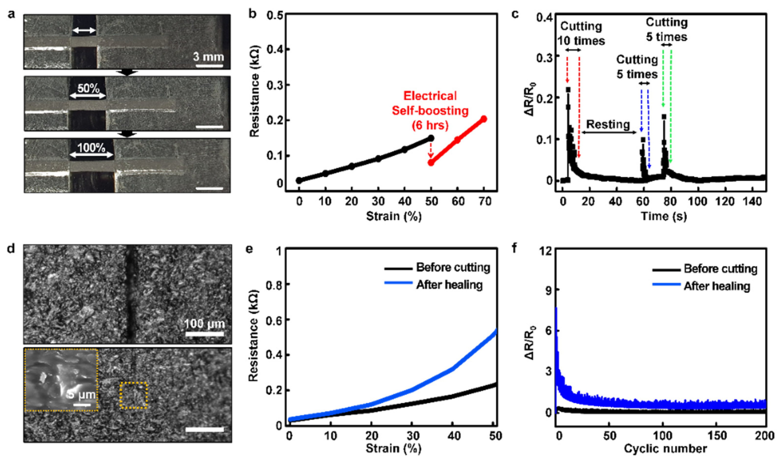 Polymers 14 03766 g003