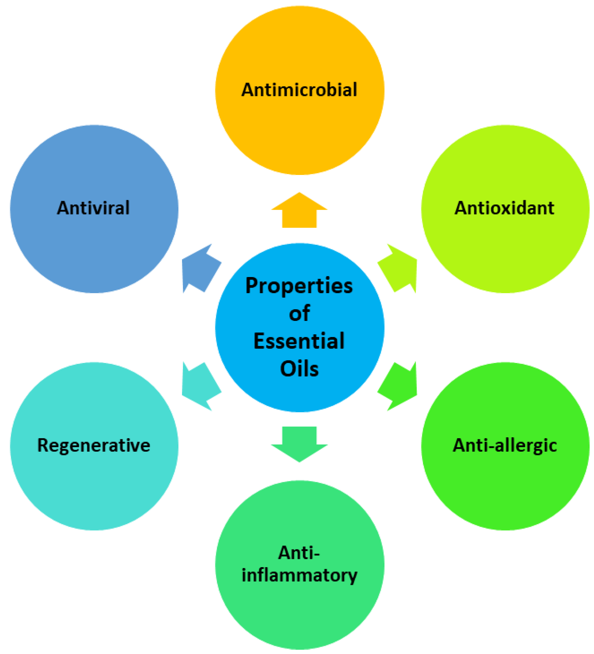 Polymers 14 03772 g001