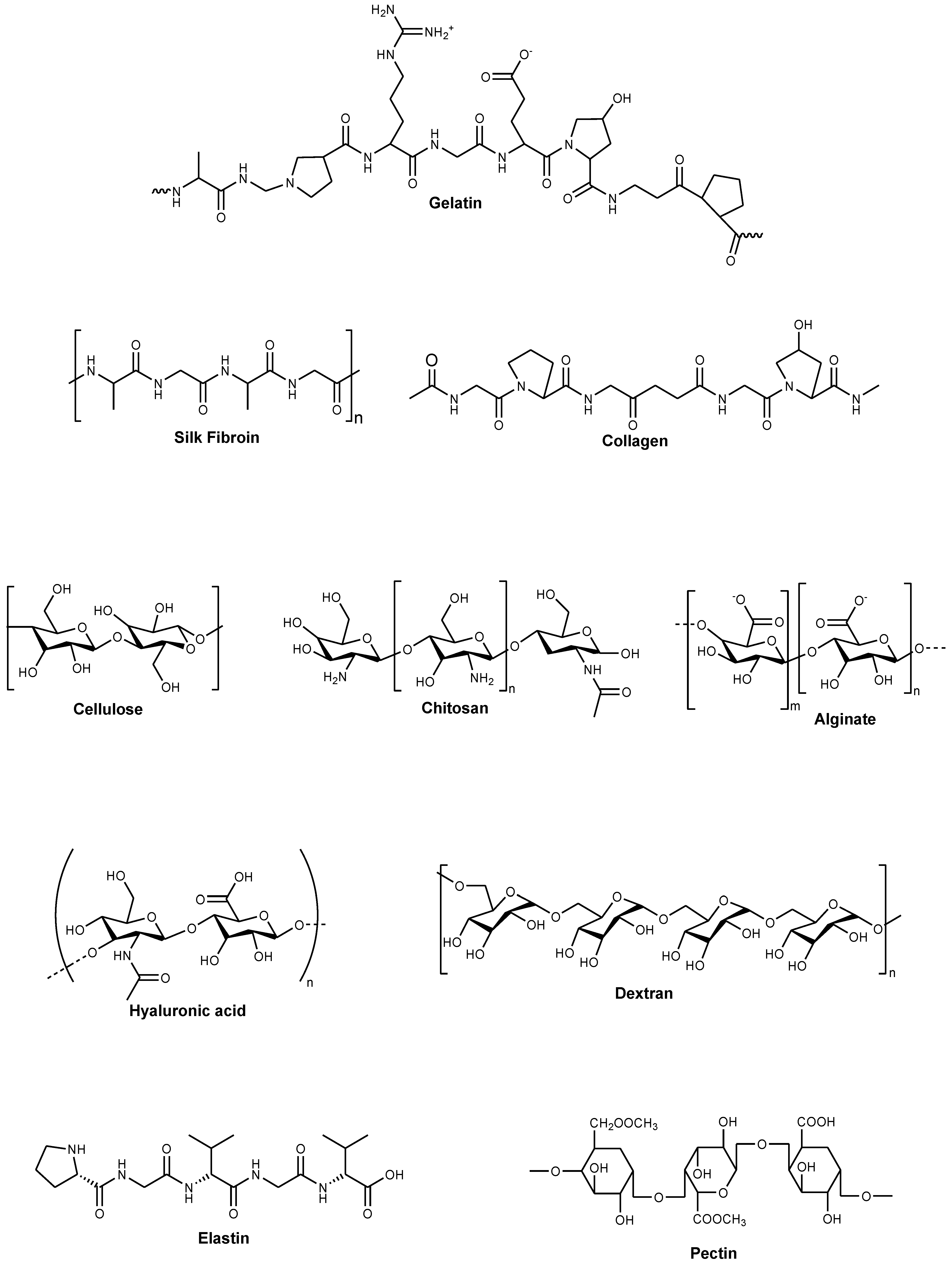 Polymers 14 03772 g003