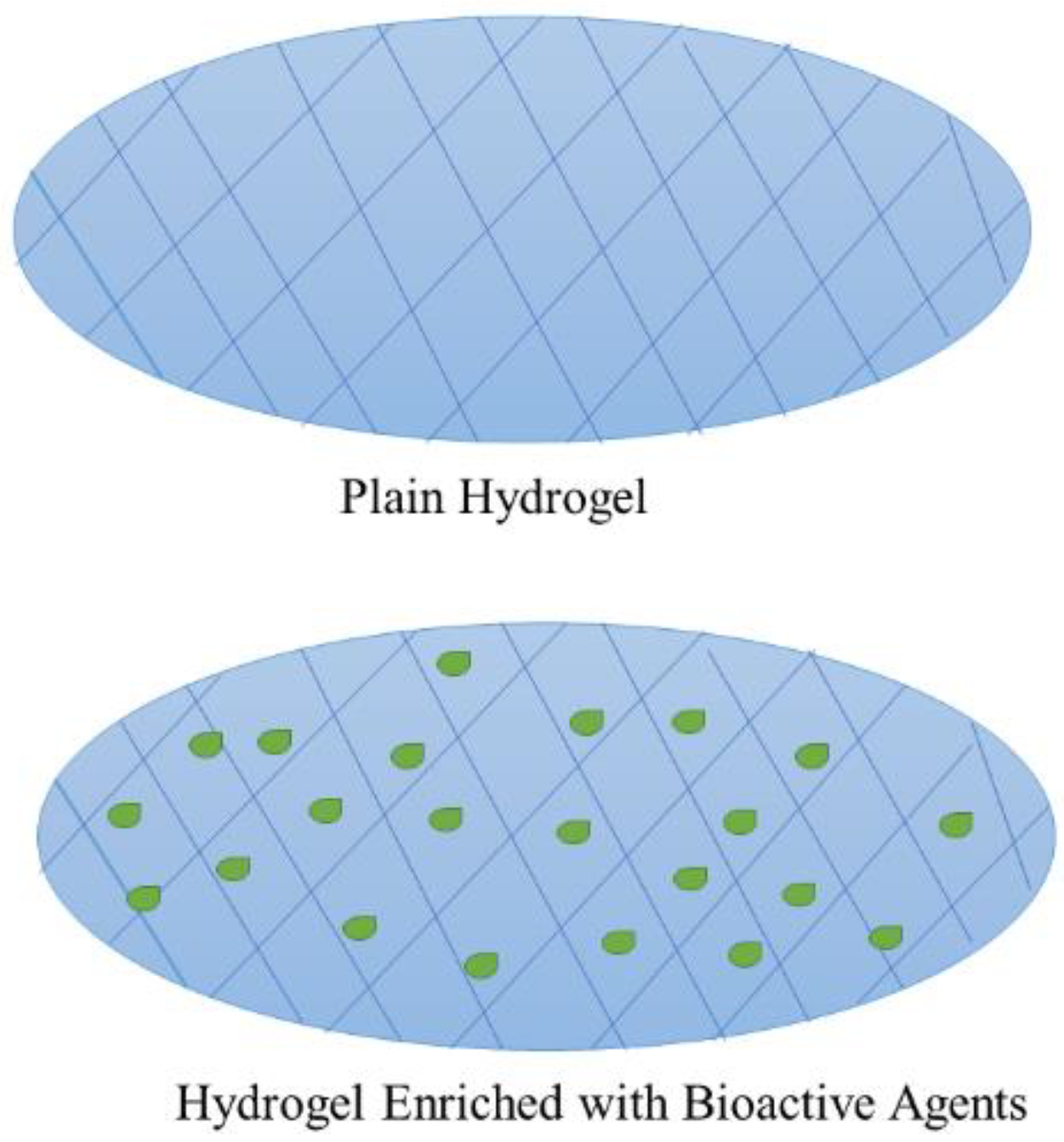 Polymers 14 03772 g005