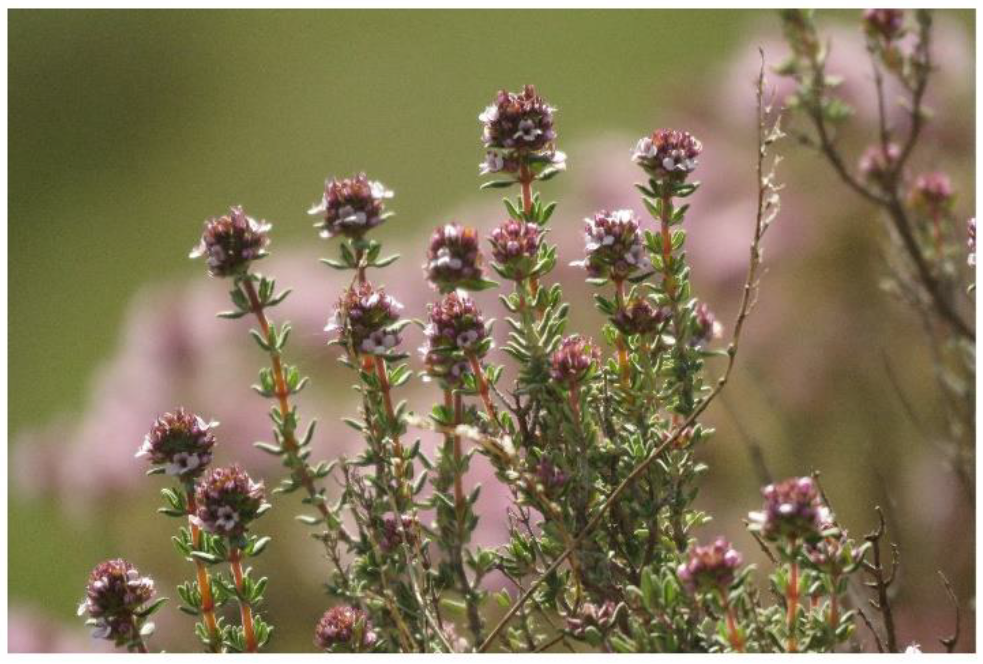 Polymers 14 03772 g007