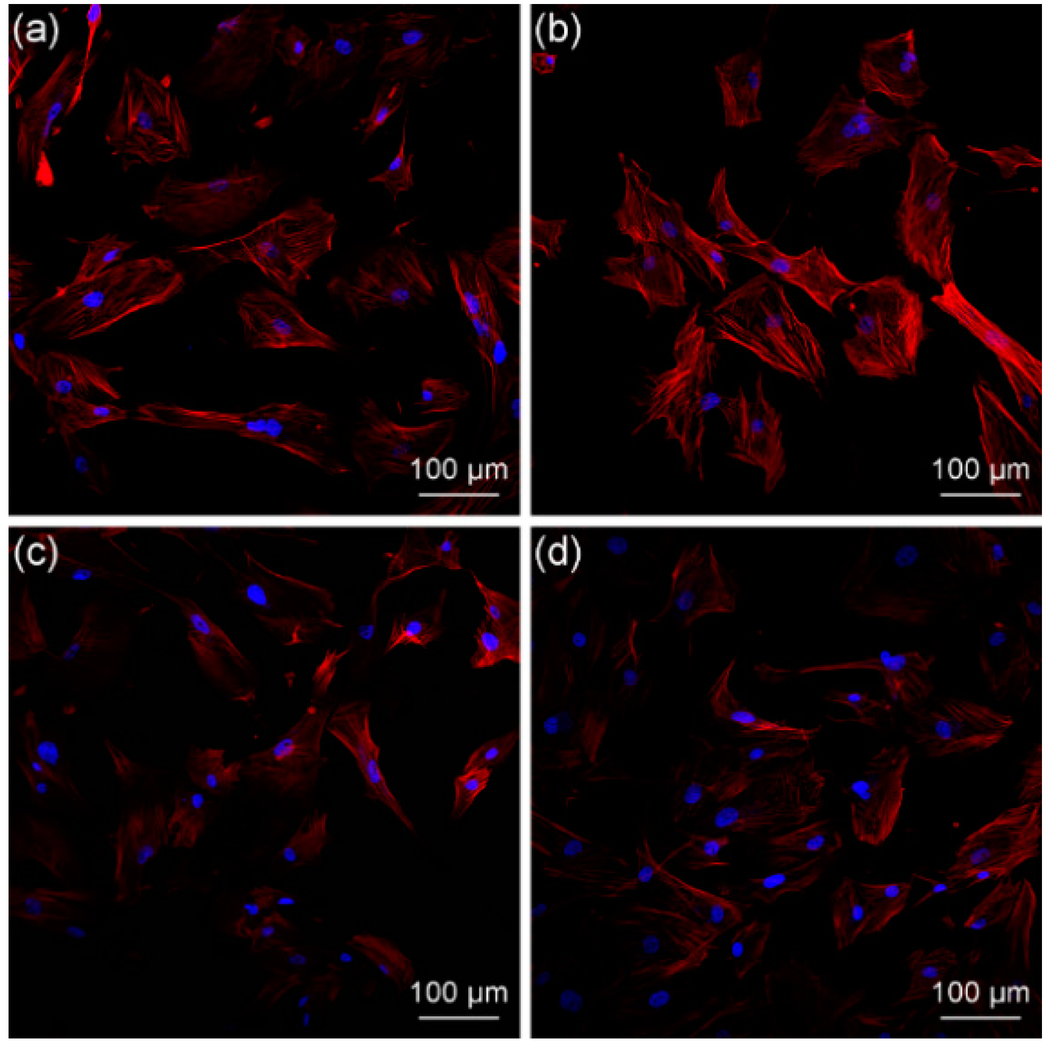 Polymers 14 03774 g016