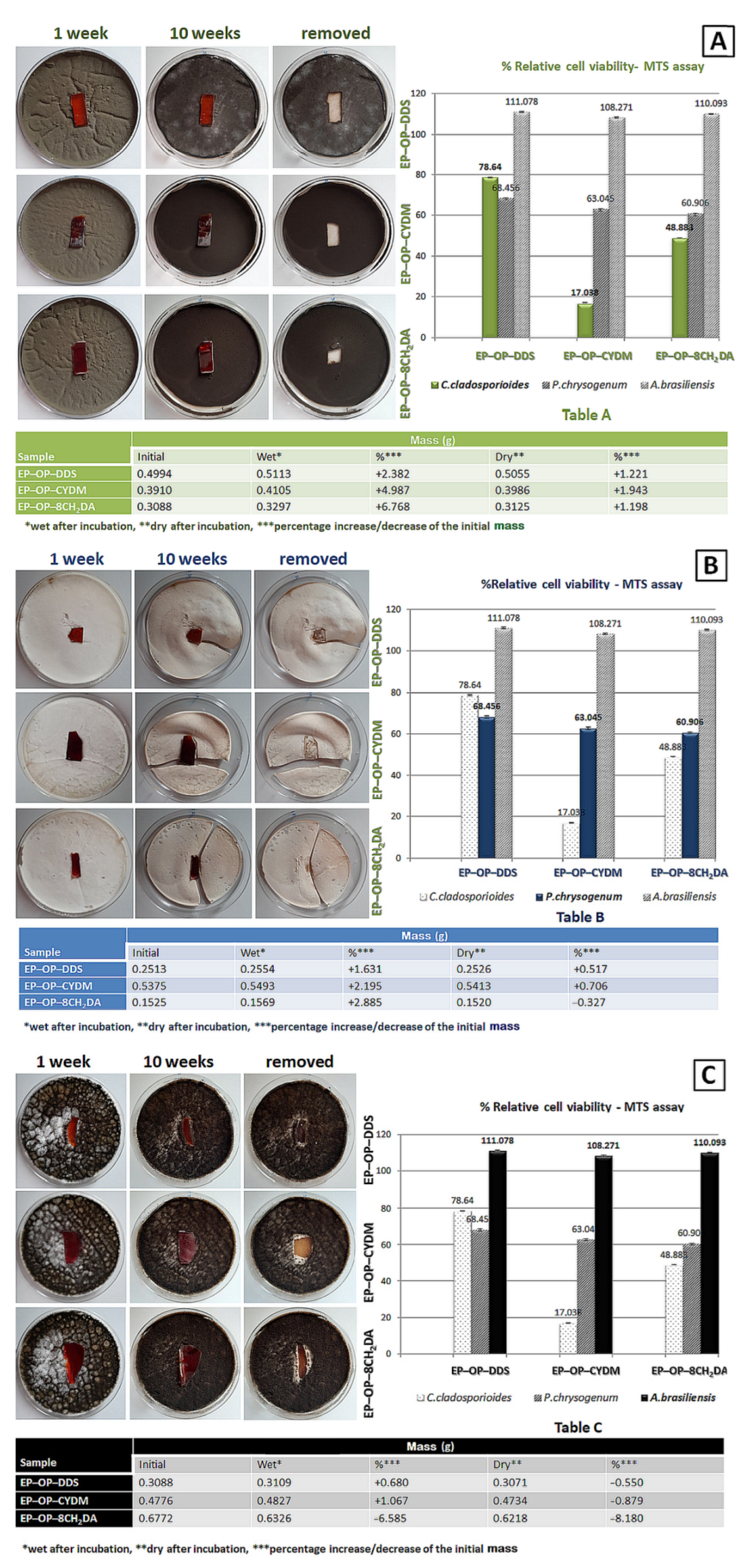 Polymers 14 03784 g012