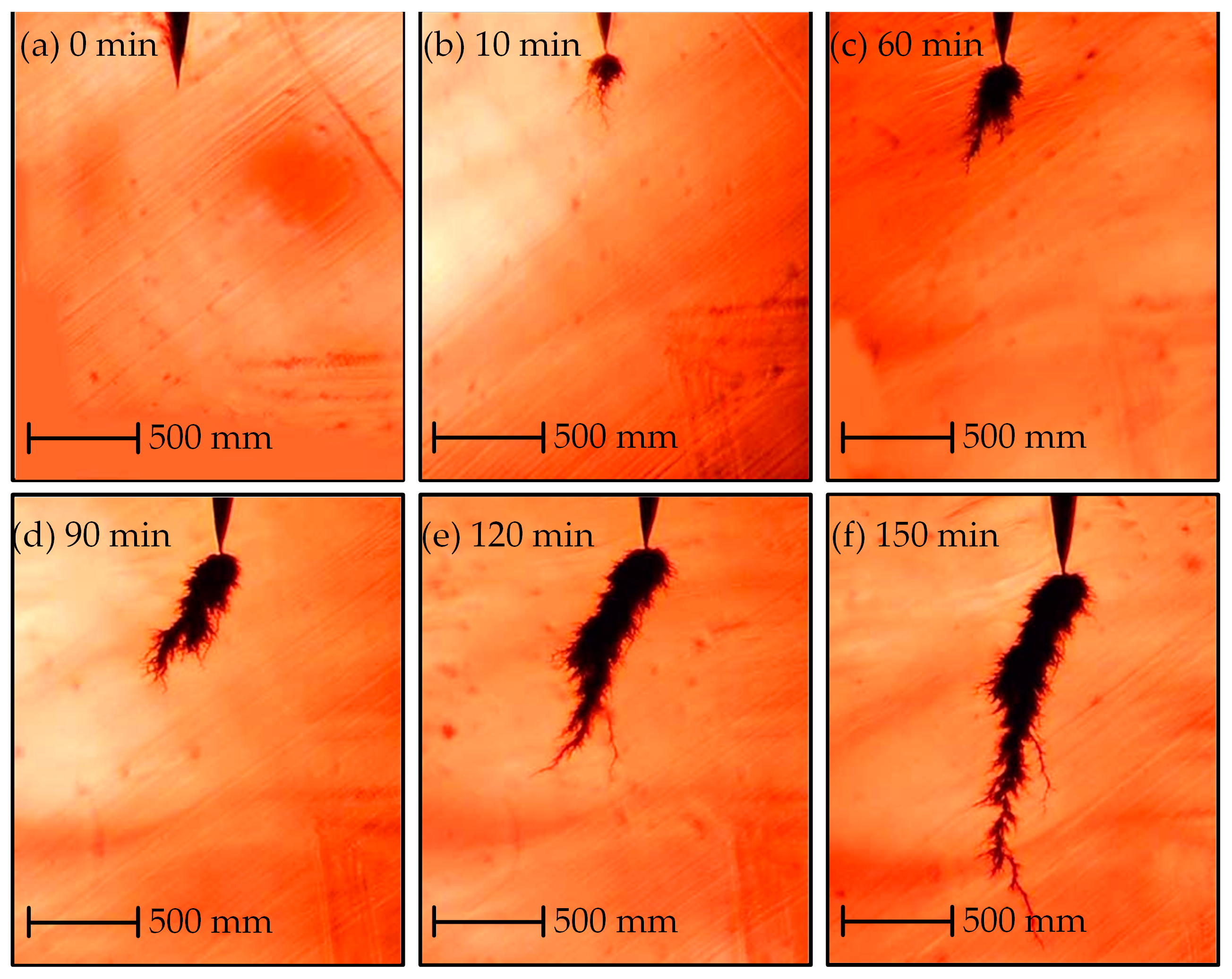 Polymers 14 03785 g008