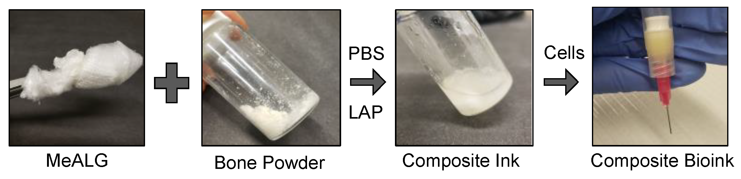 Polymers 14 03788 g001