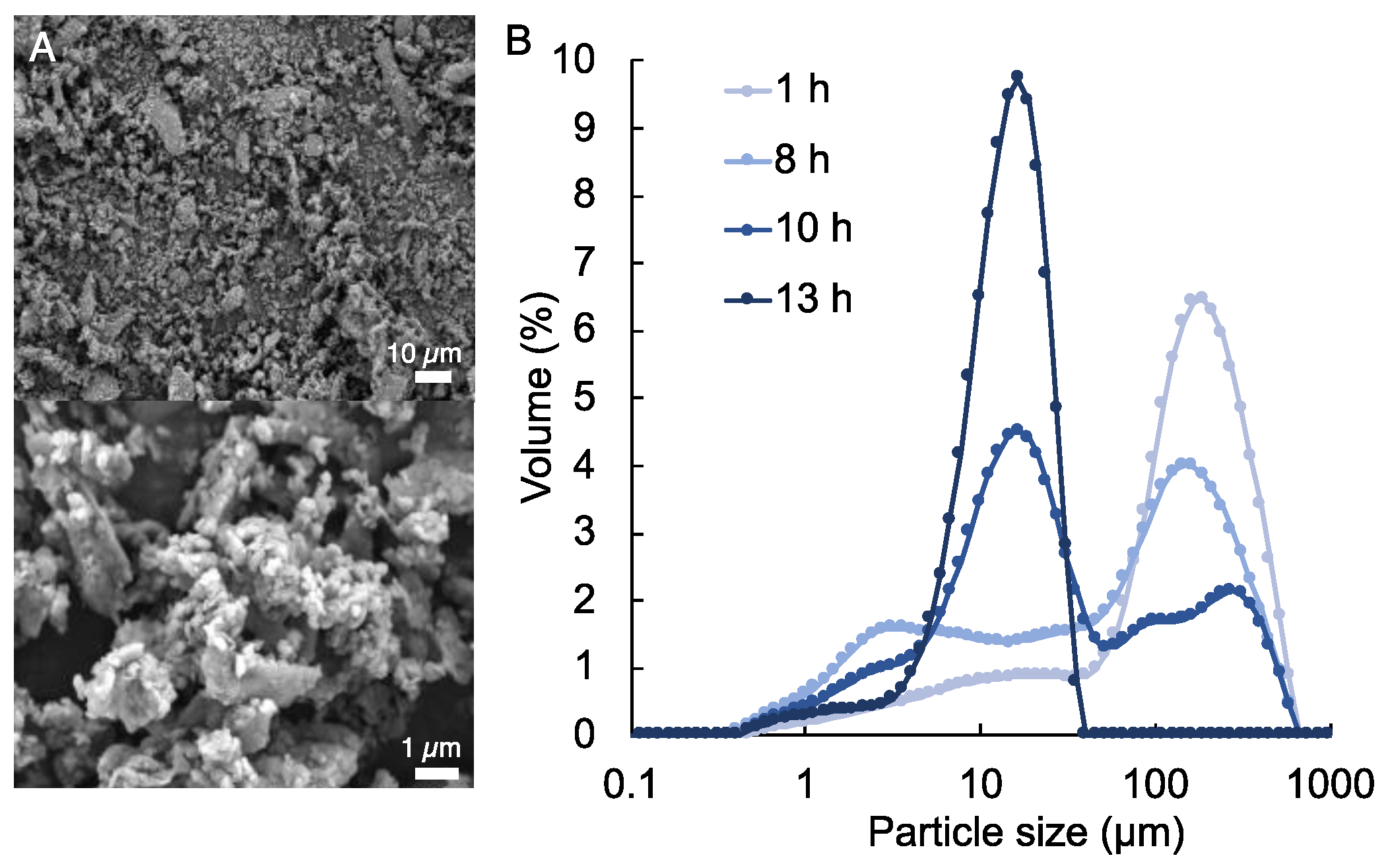 Polymers 14 03788 g002