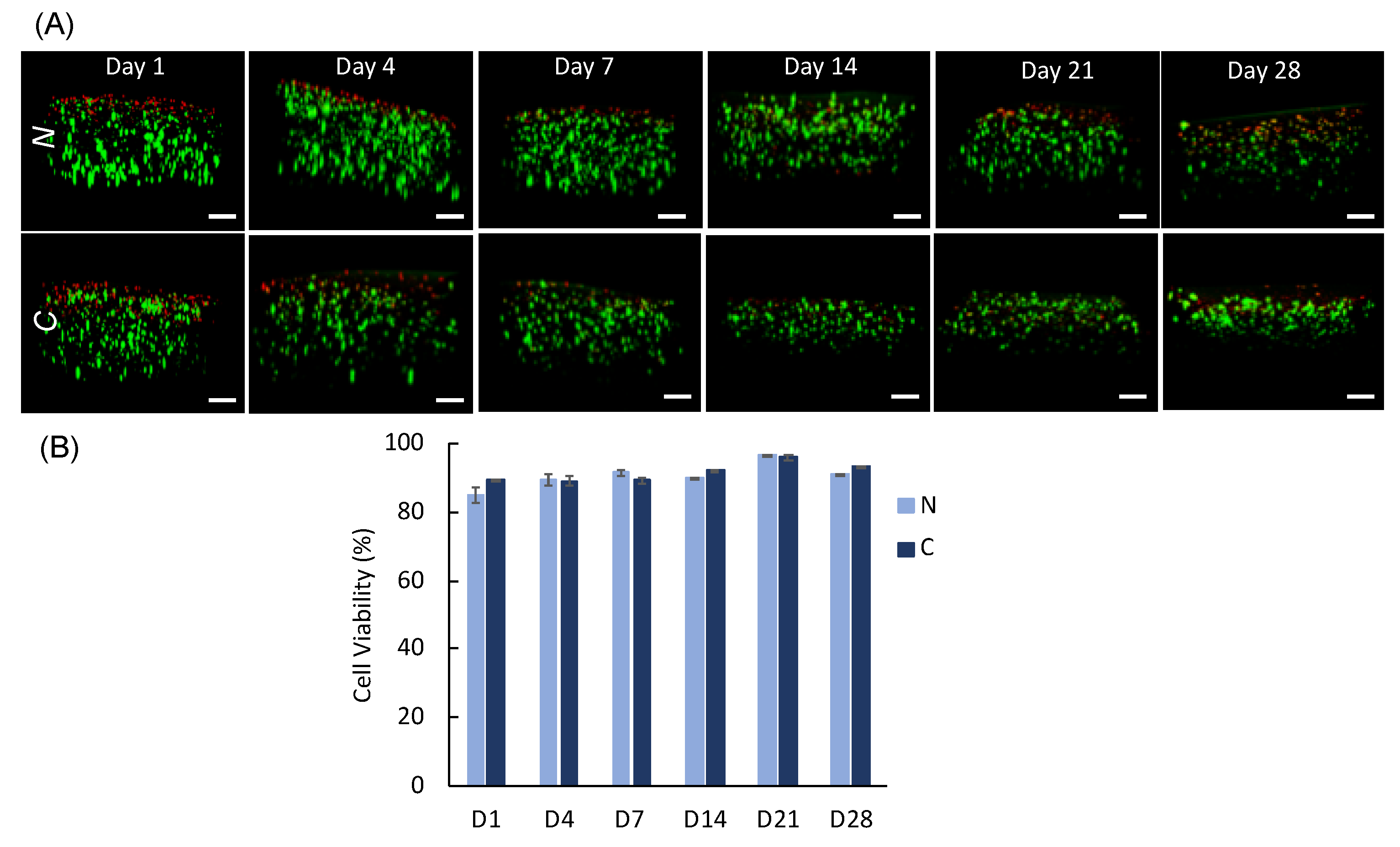 Polymers 14 03788 g009