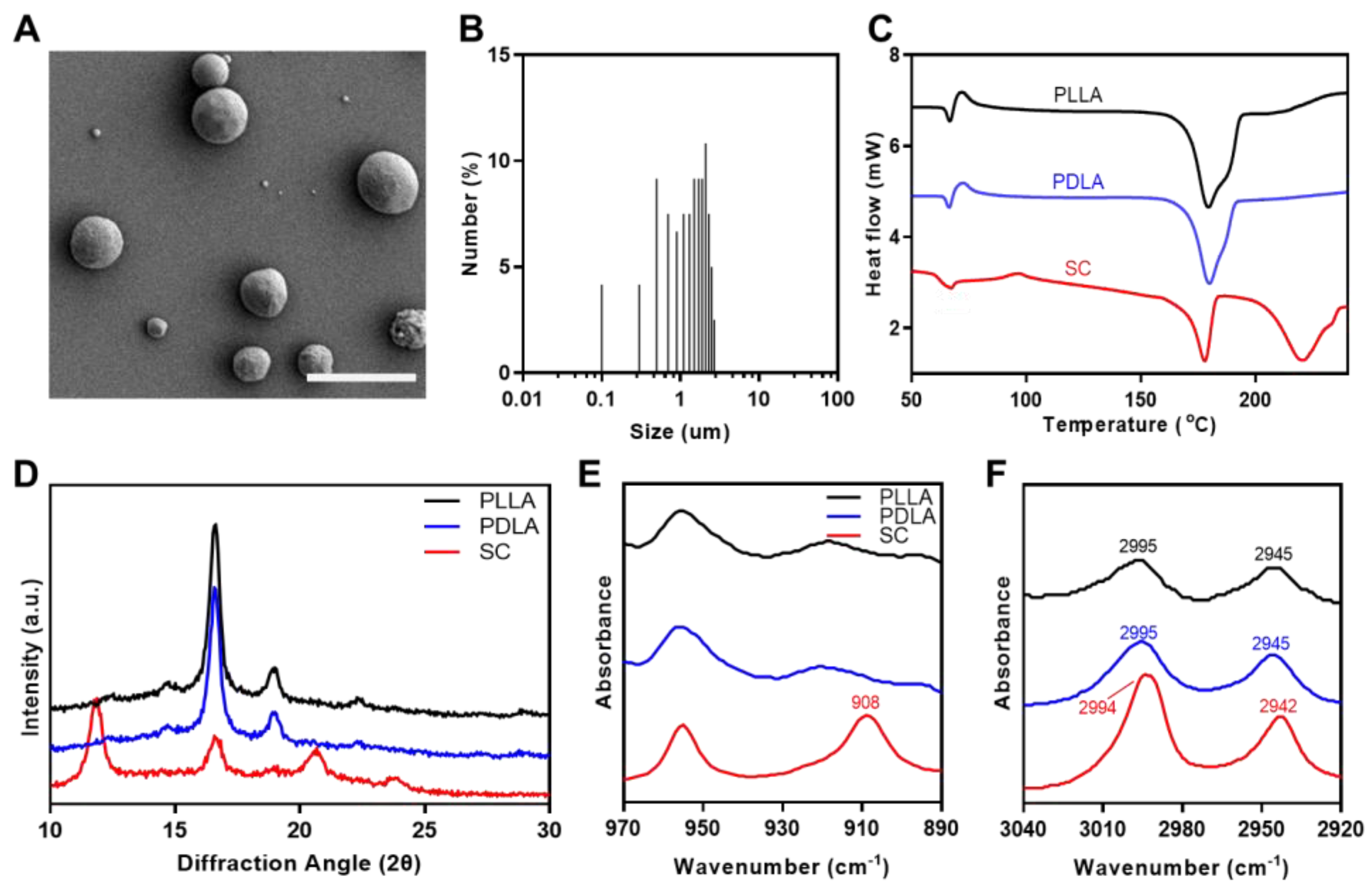 Polymers 14 03790 g002