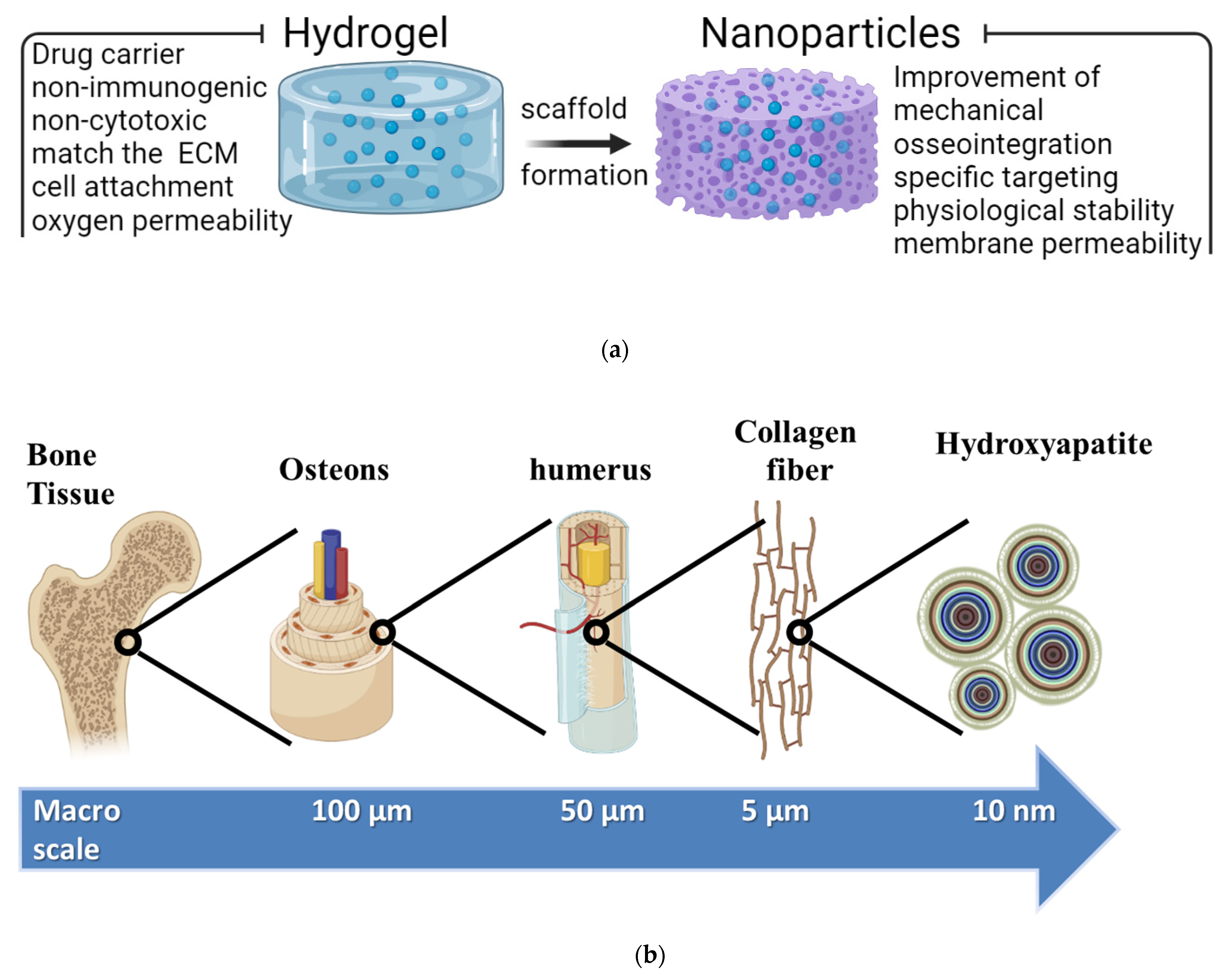 Polymers 14 03791 g002