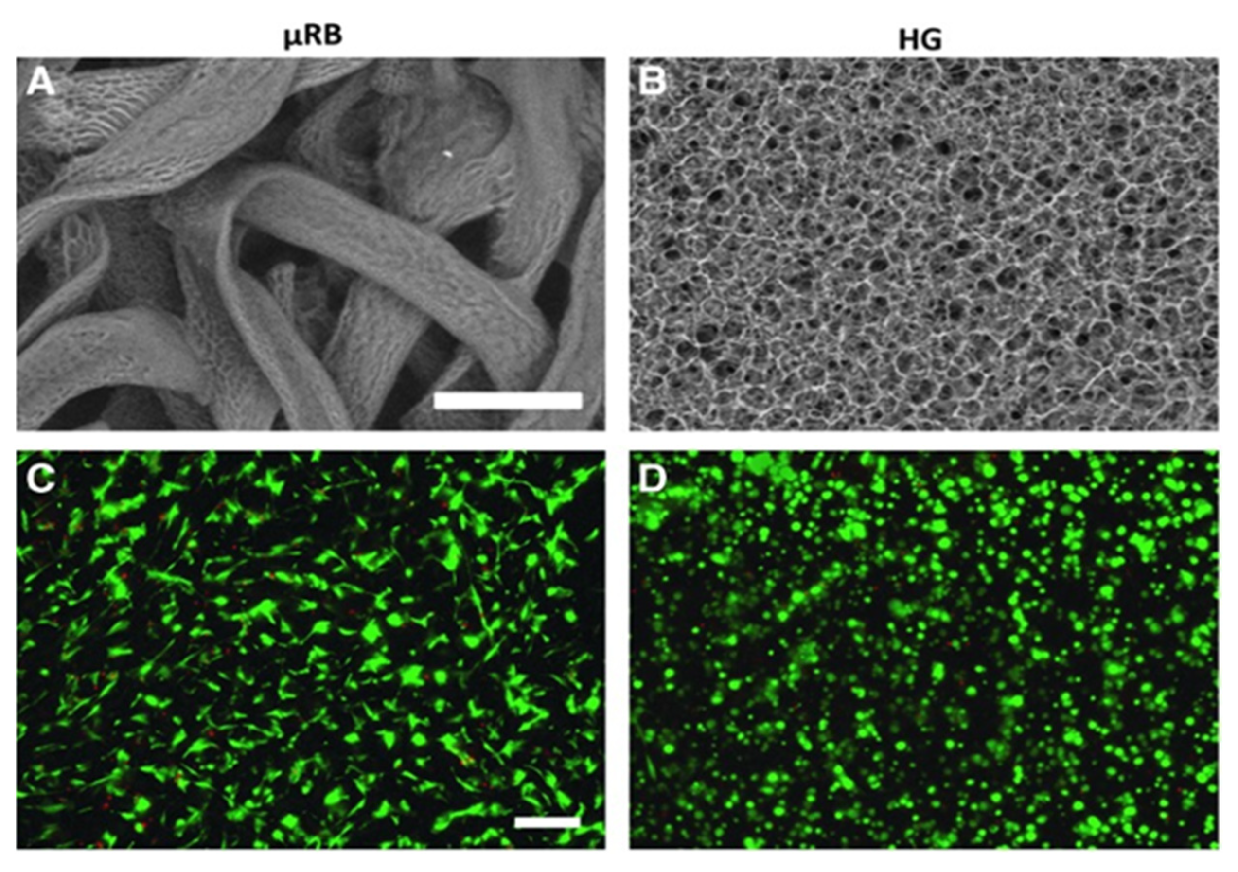 Polymers 14 03791 g003