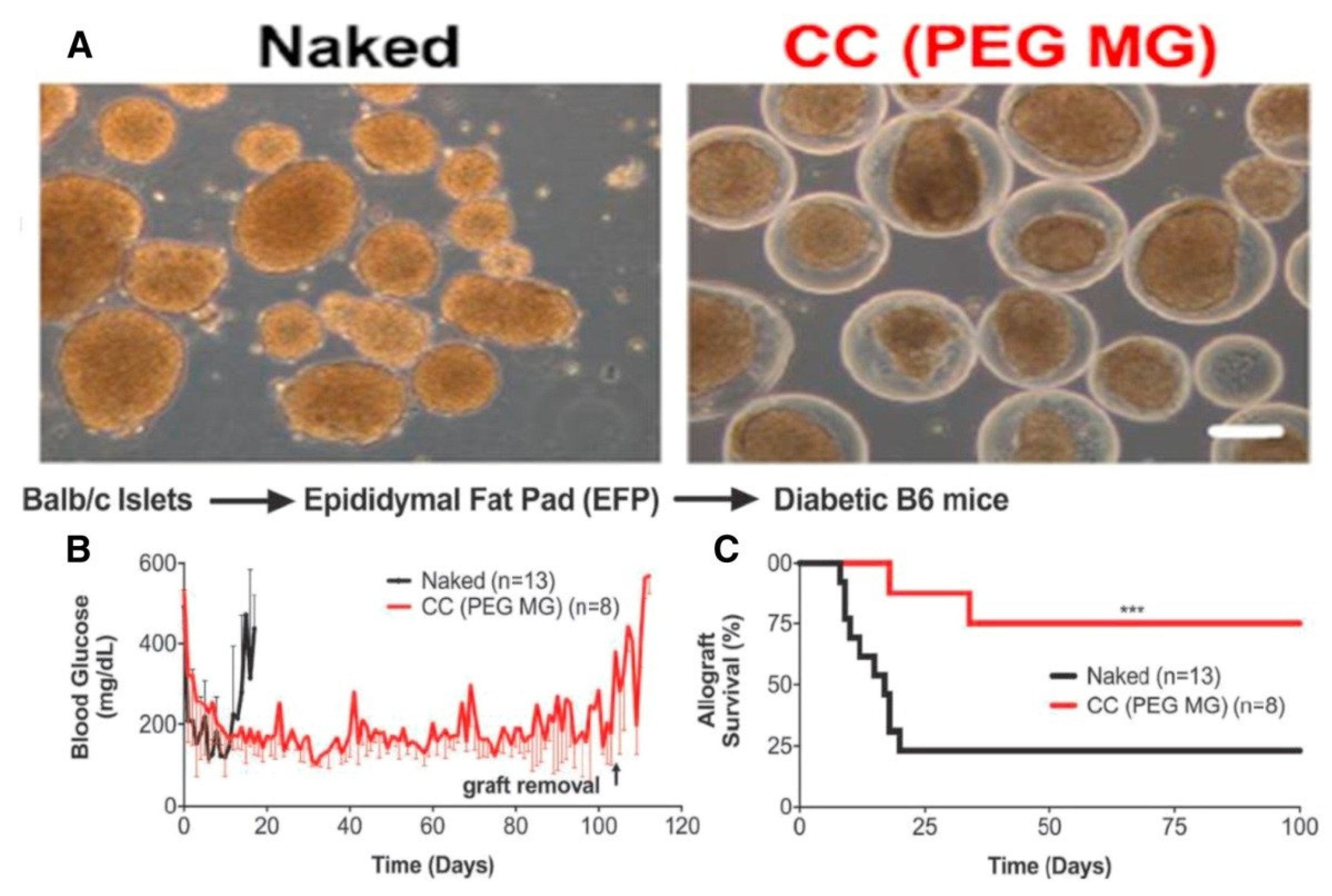 Polymers 14 03791 g005