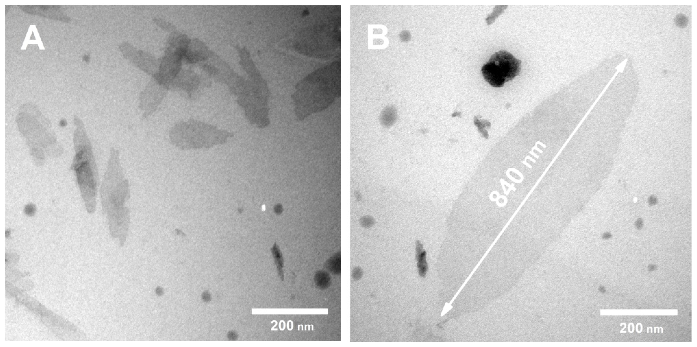 Polymers 14 03792 g002