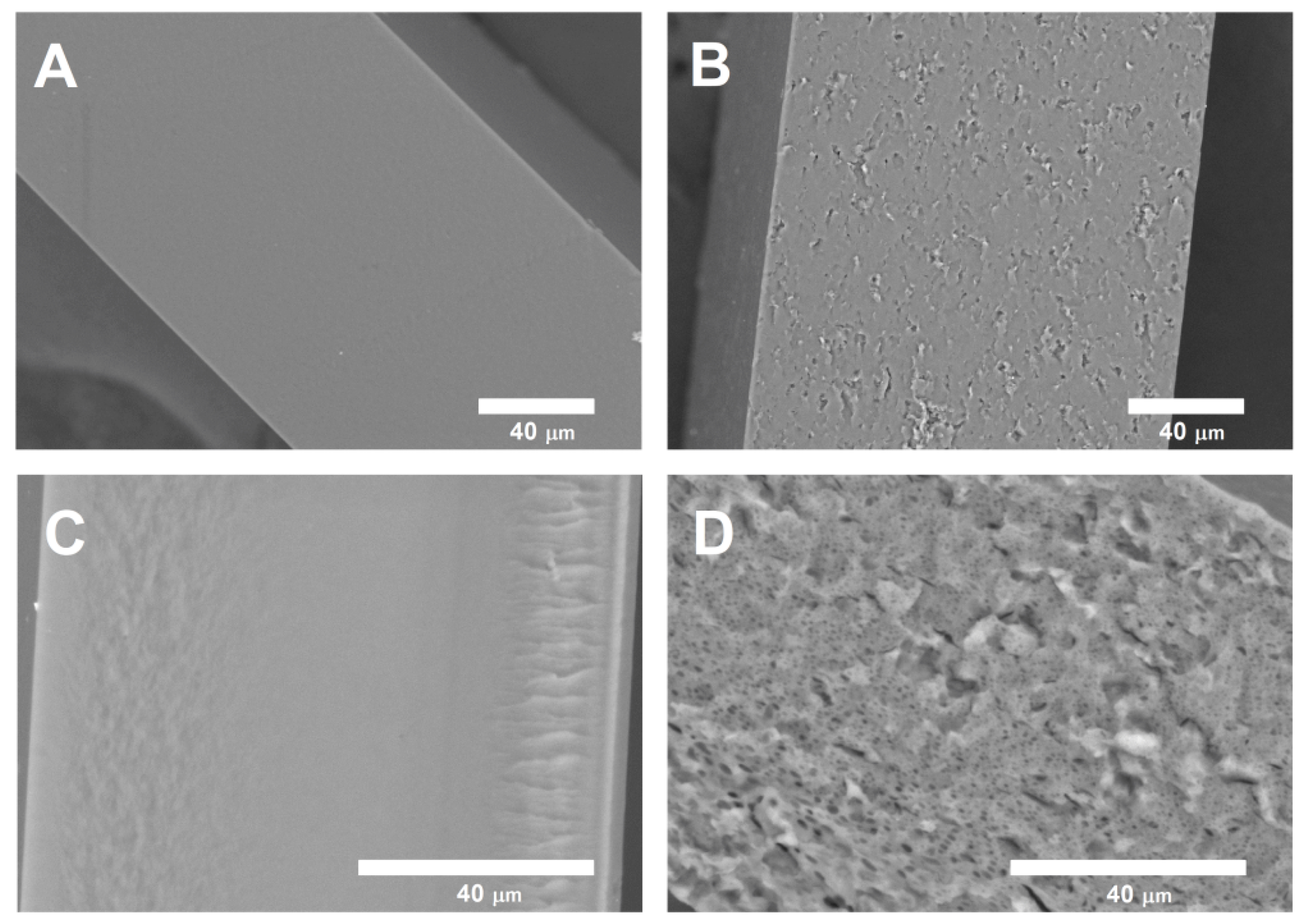 Polymers 14 03792 g003