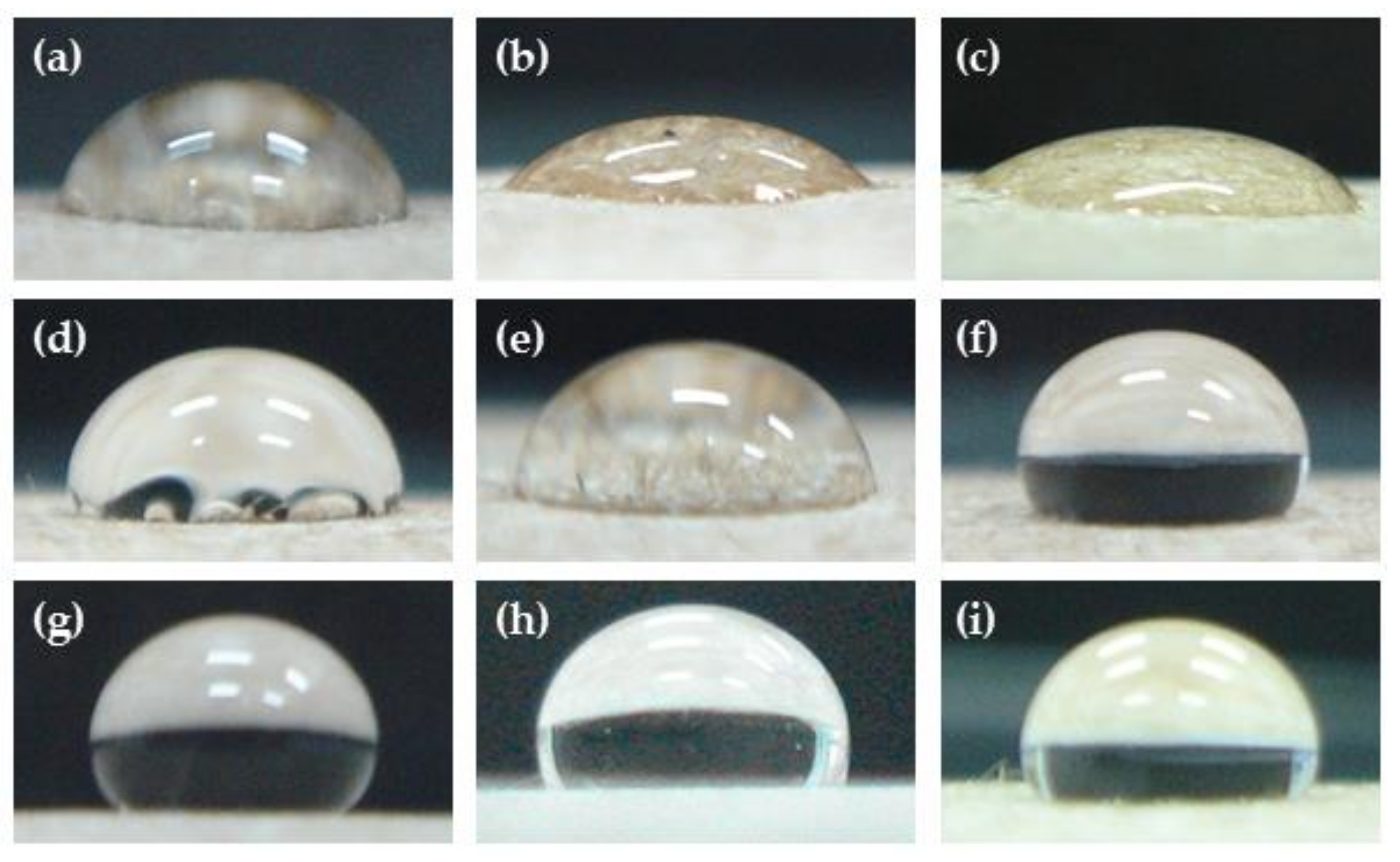Polymers 14 03796 g001