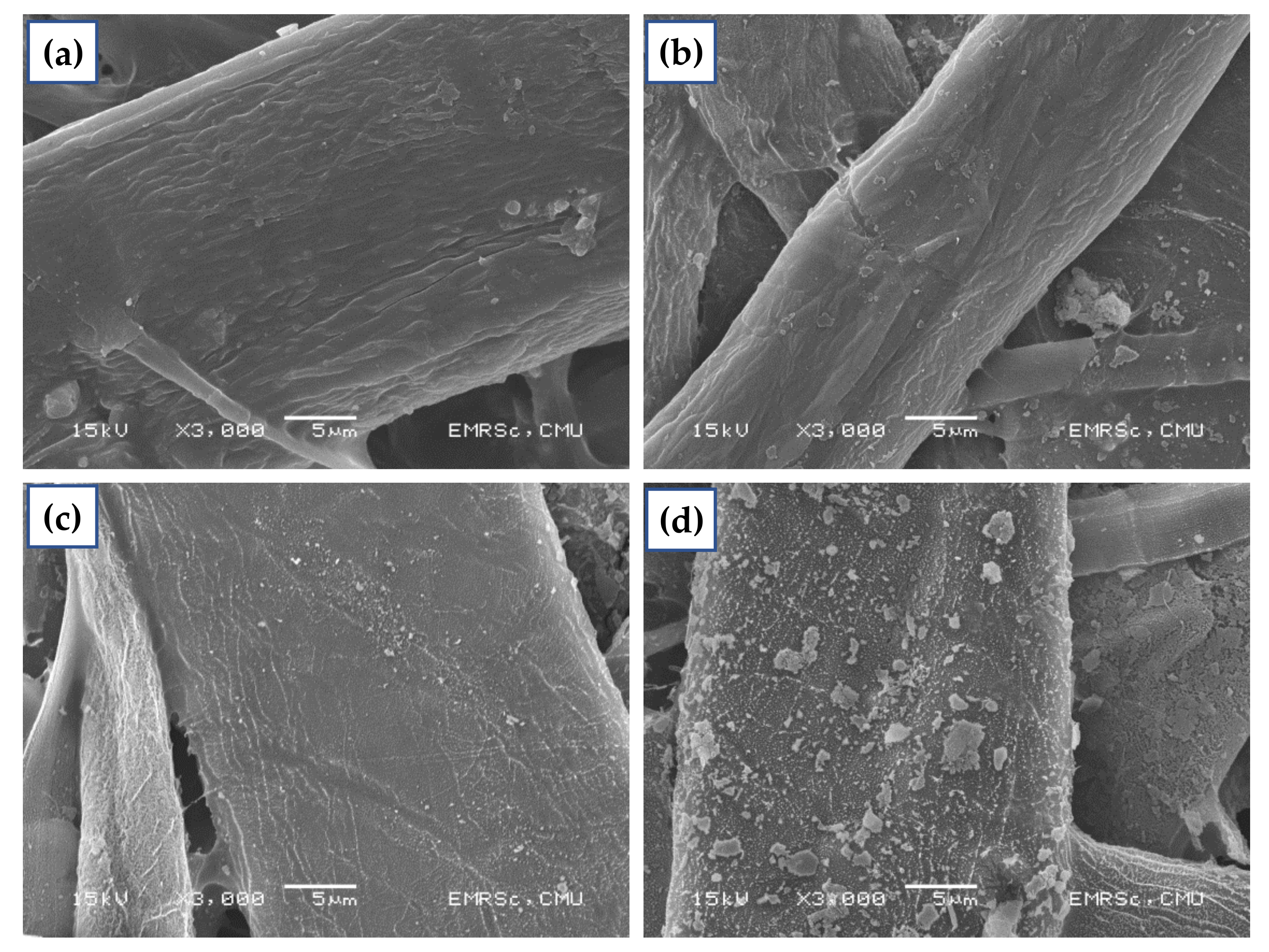 Polymers 14 03796 g010