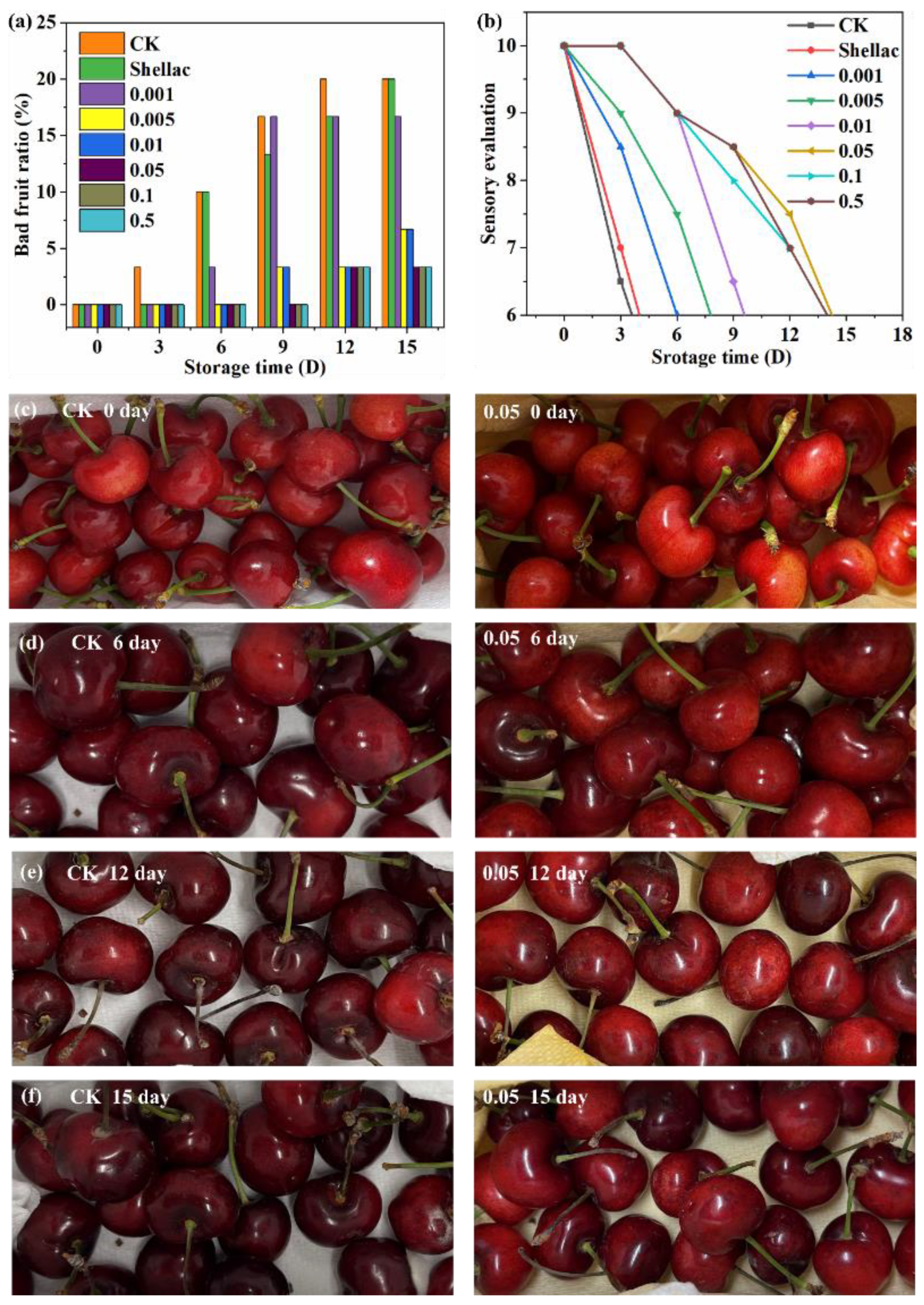 Polymers 14 03798 g007