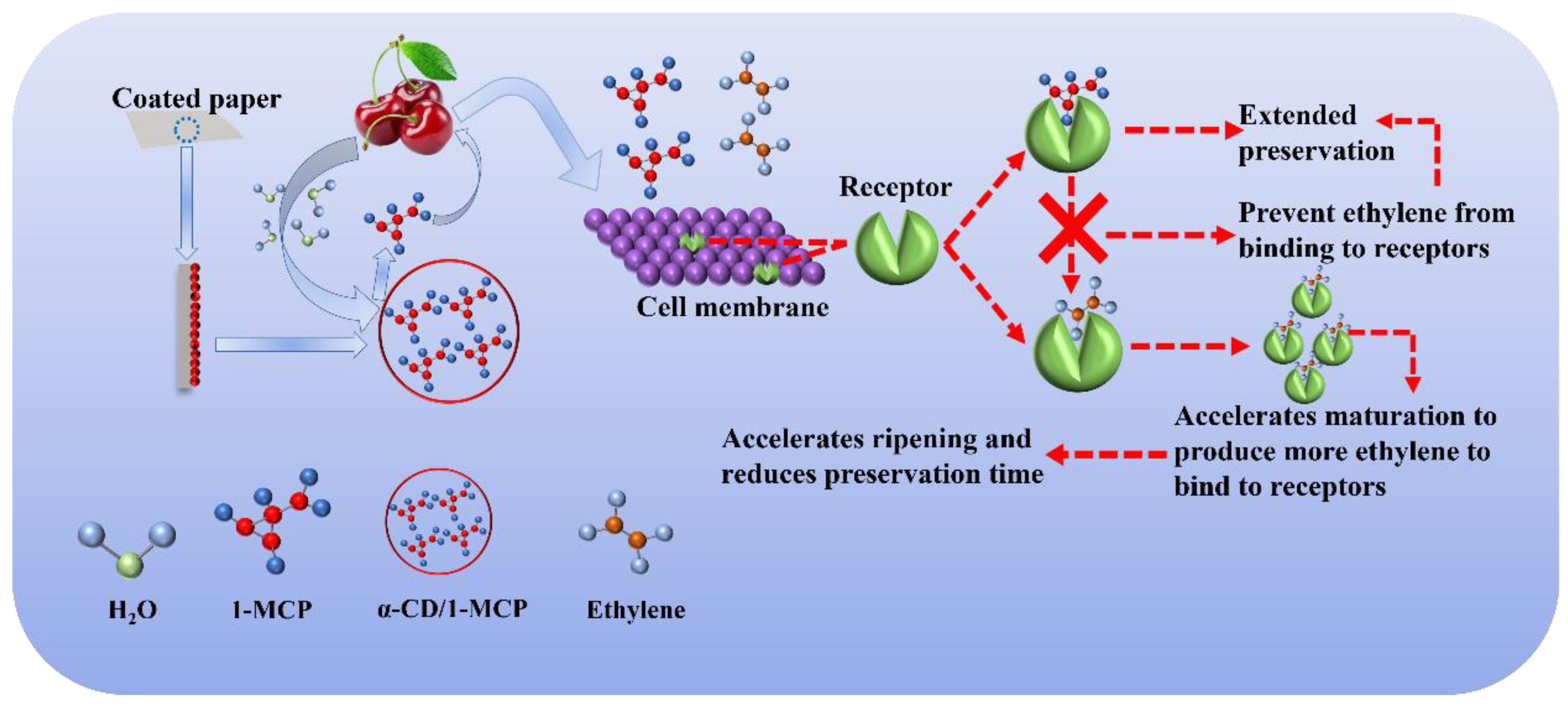 Polymers 14 03798 g008