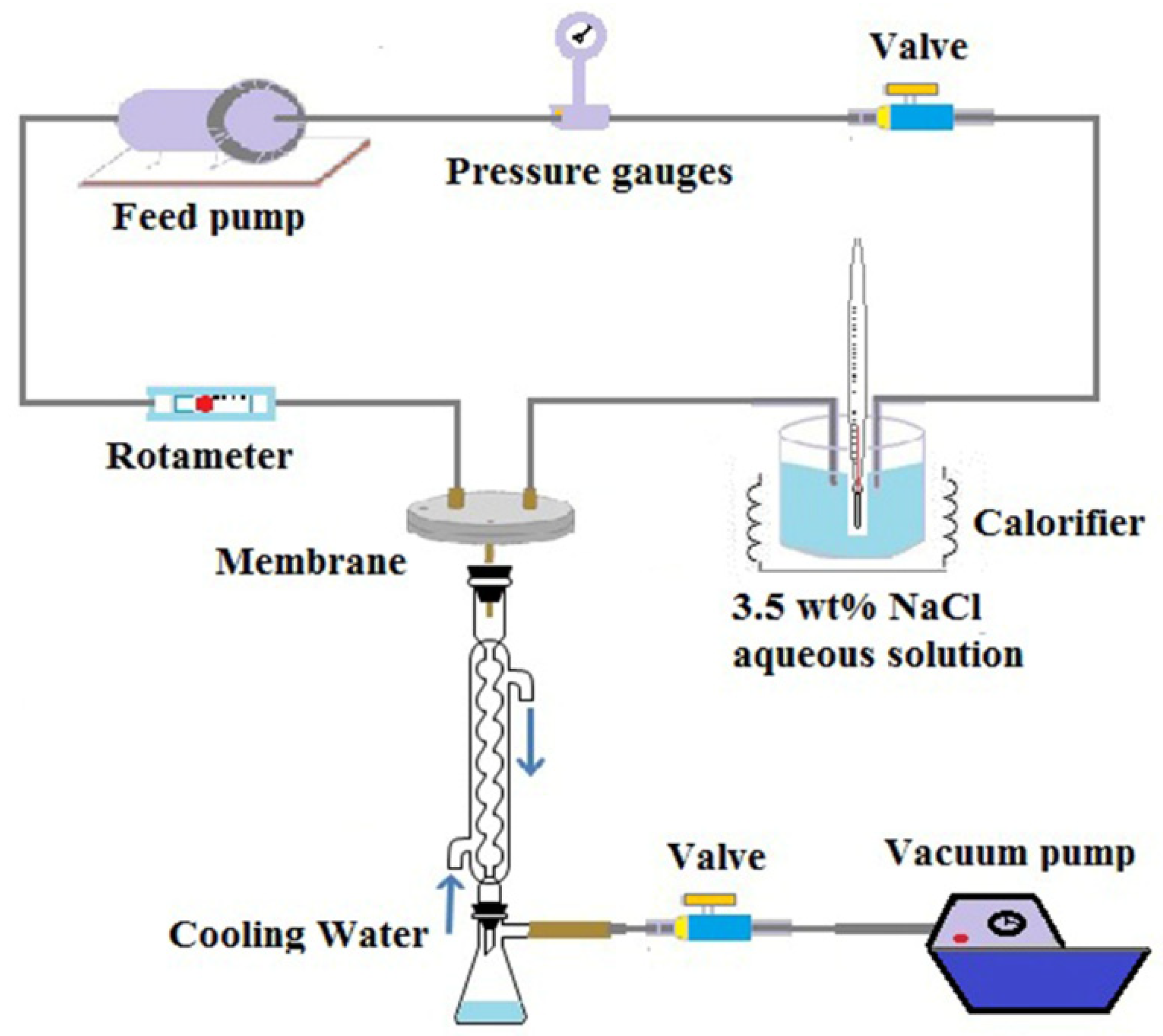 Polymers 14 03802 g004
