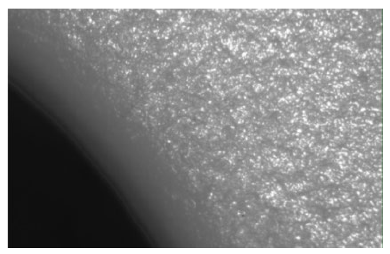 Polymers 14 03811 g005