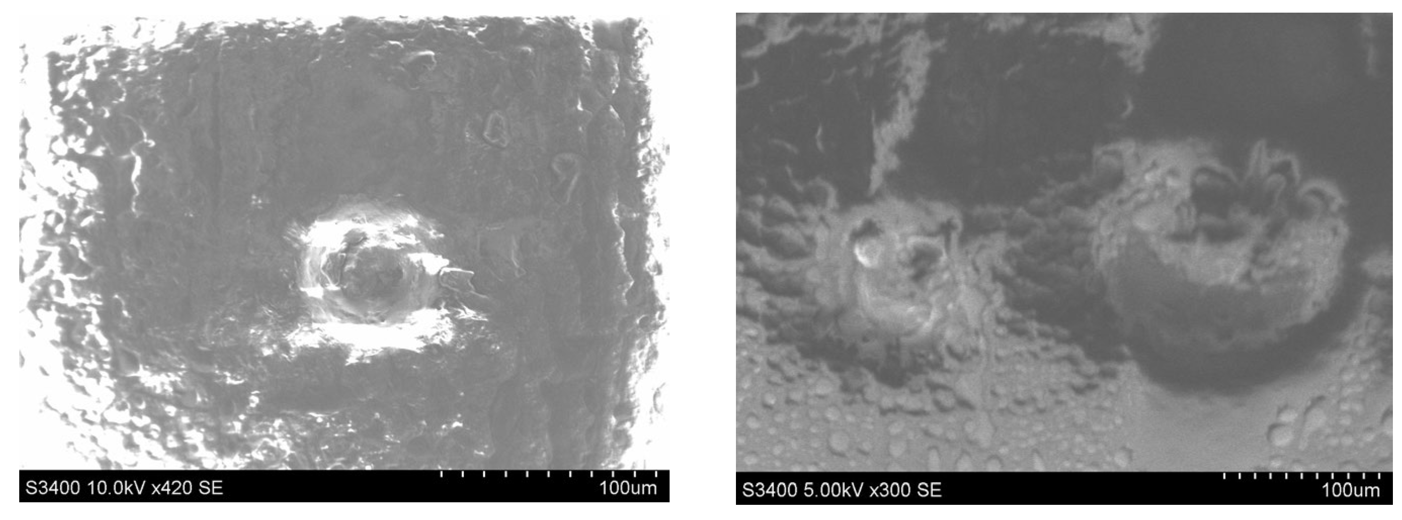 Polymers 14 03811 g008a