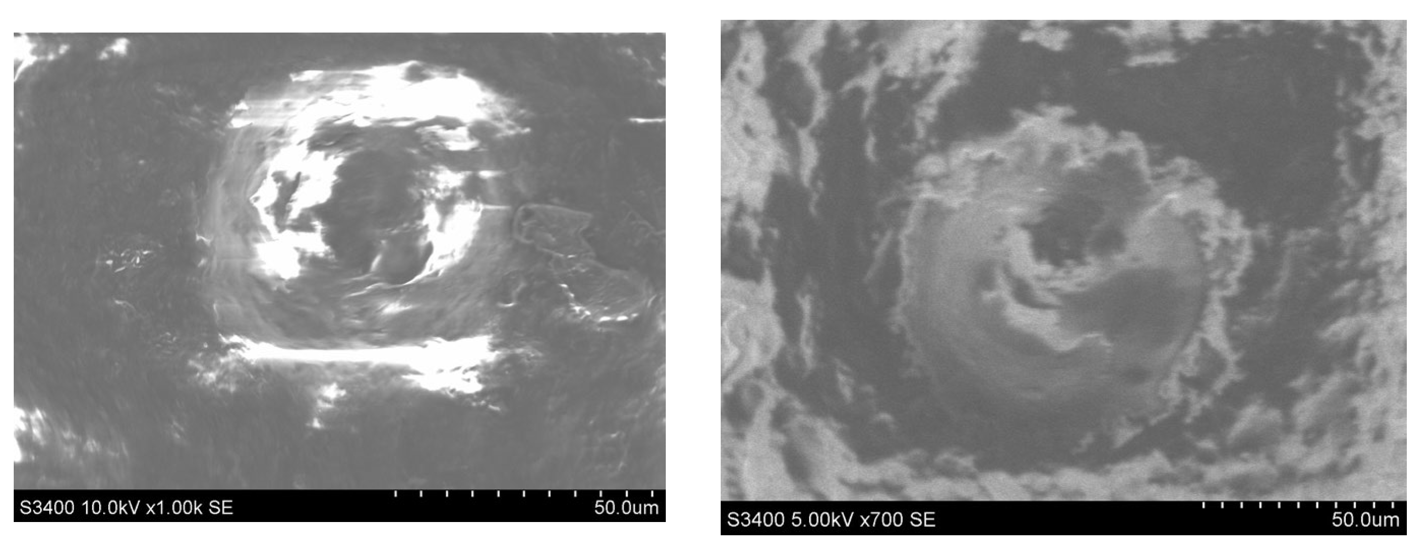 Polymers 14 03811 g008b