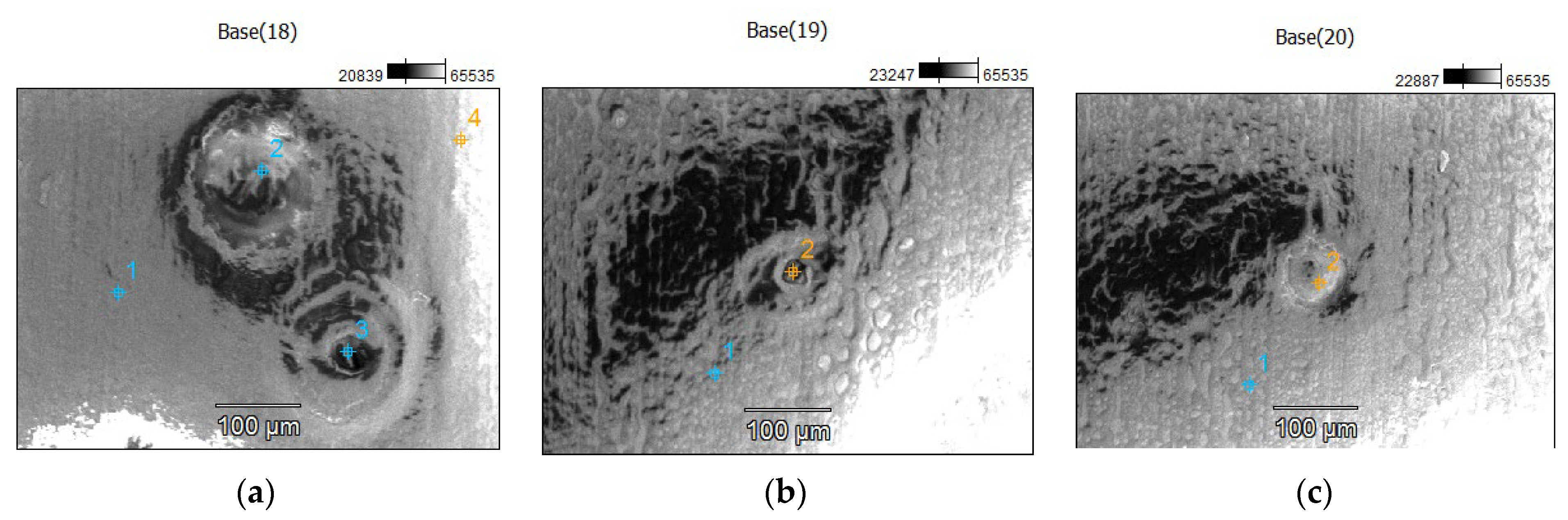 Polymers 14 03811 g009