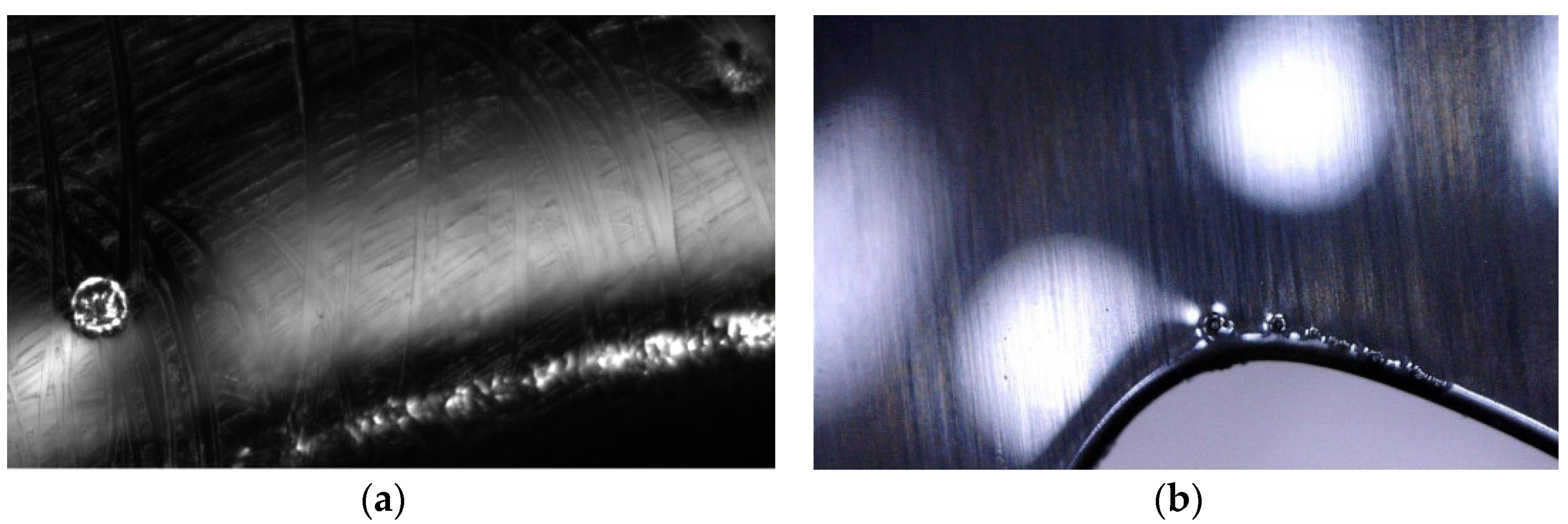 Polymers 14 03811 g012