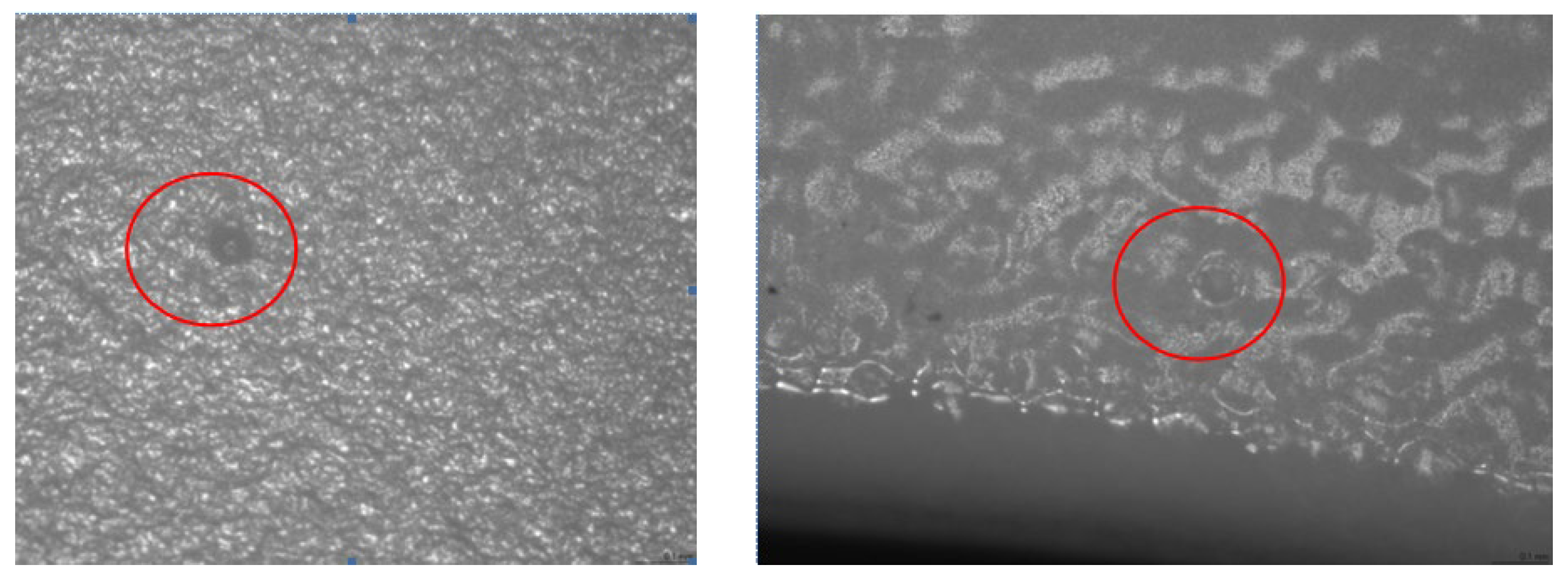 Polymers 14 03811 g015
