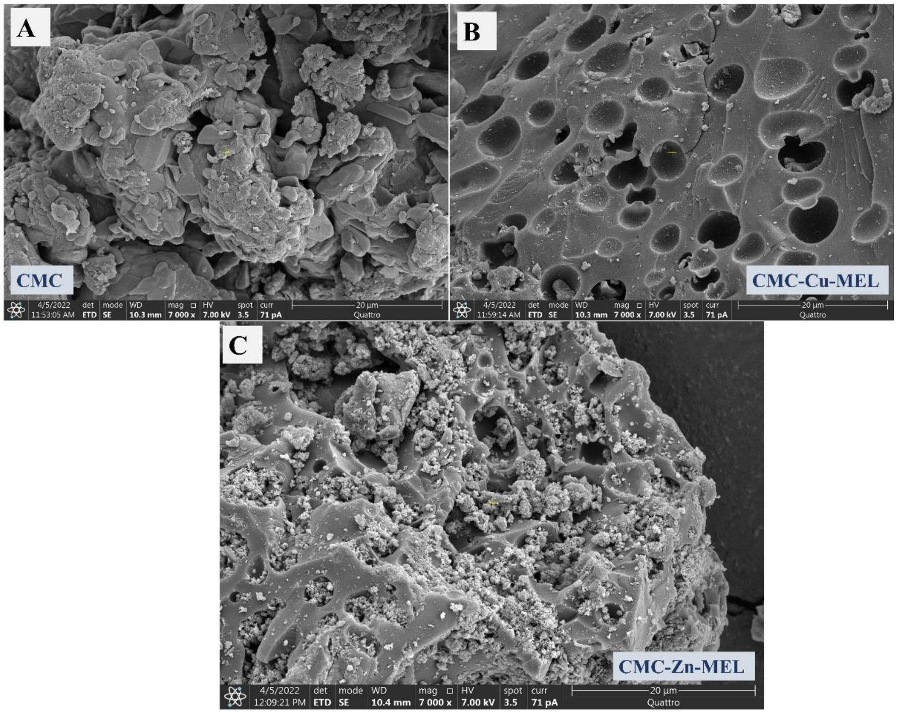 Polymers 14 03815 g001