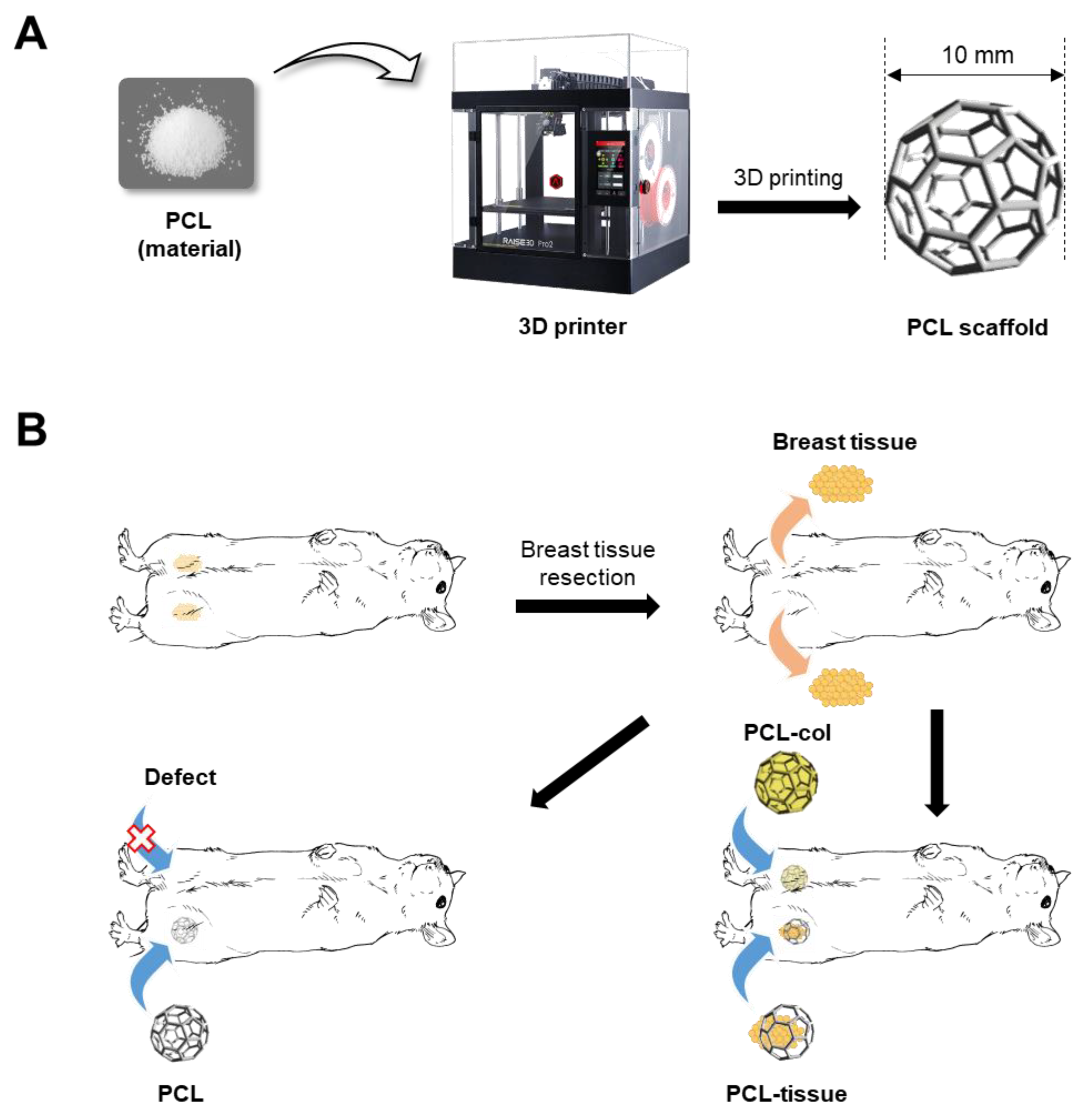 Polymers 14 03817 sch001