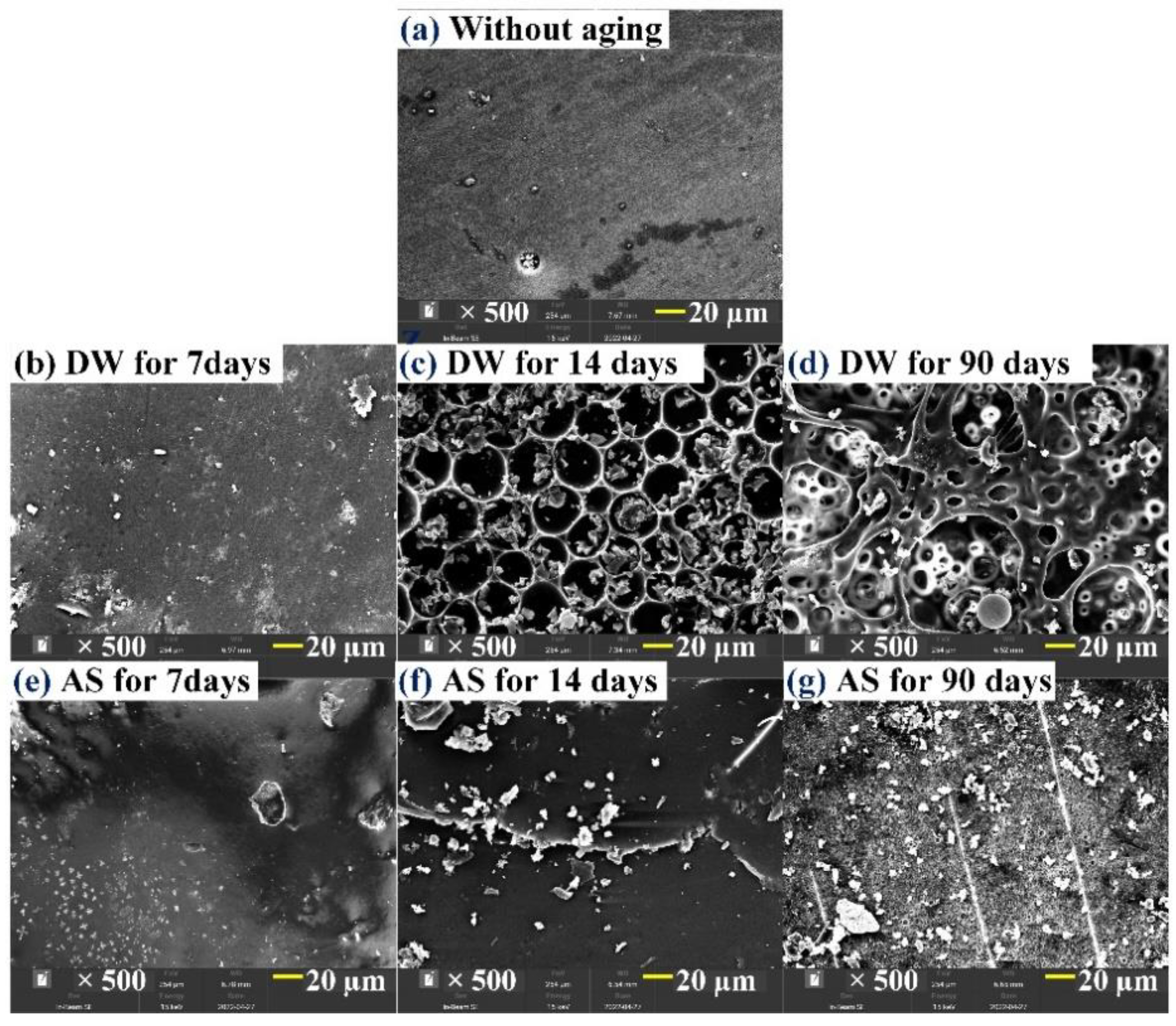 Polymers 14 03828 g006