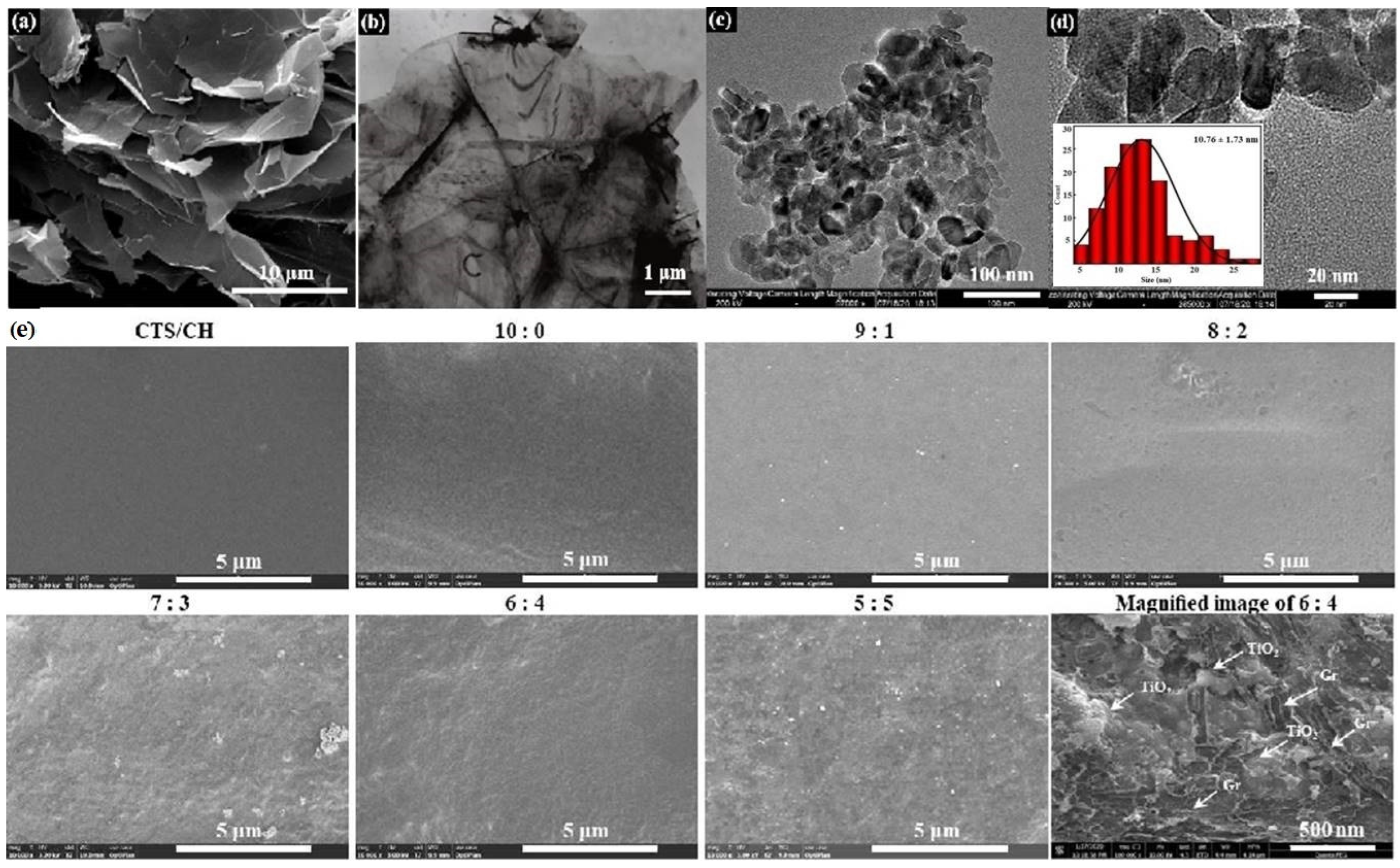 Polymers 14 03844 g001