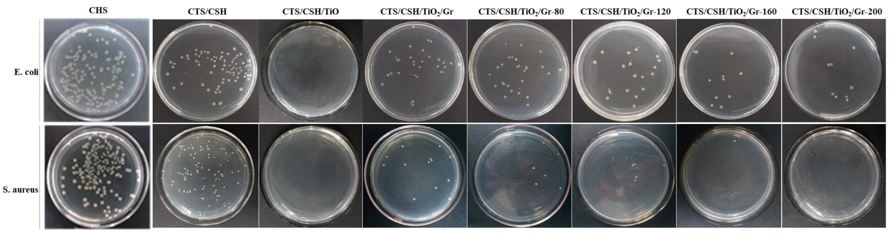 Polymers 14 03844 g006