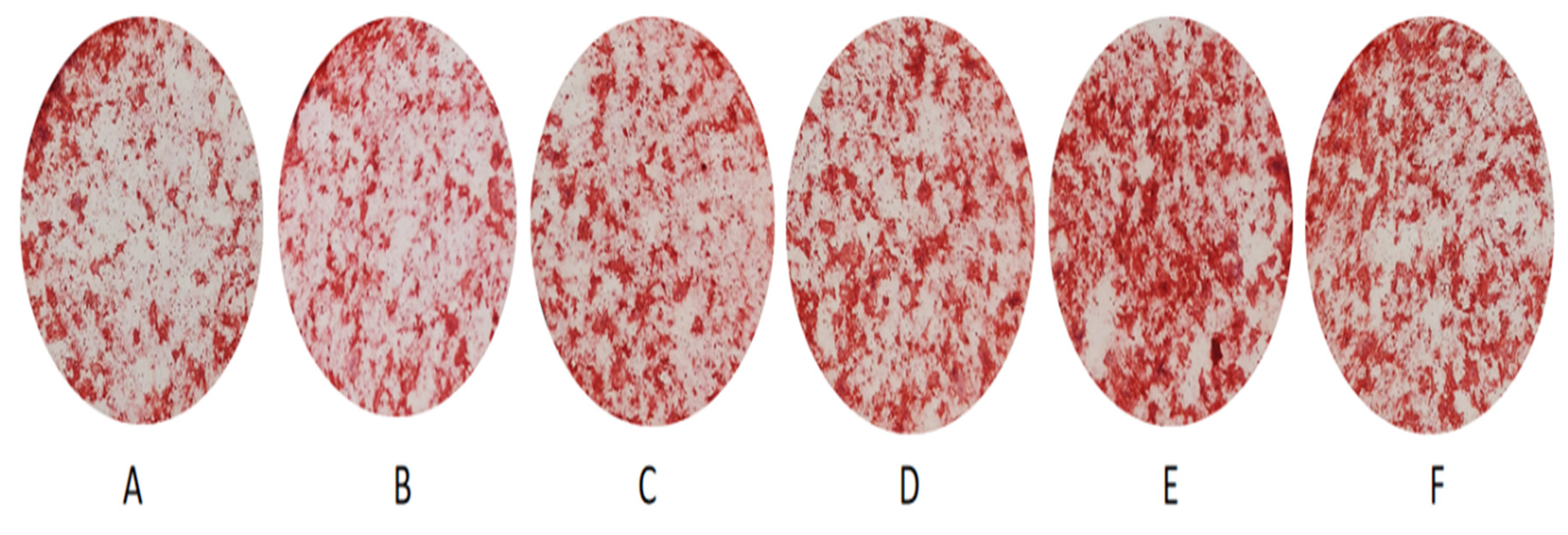 Polymers 14 03852 g011