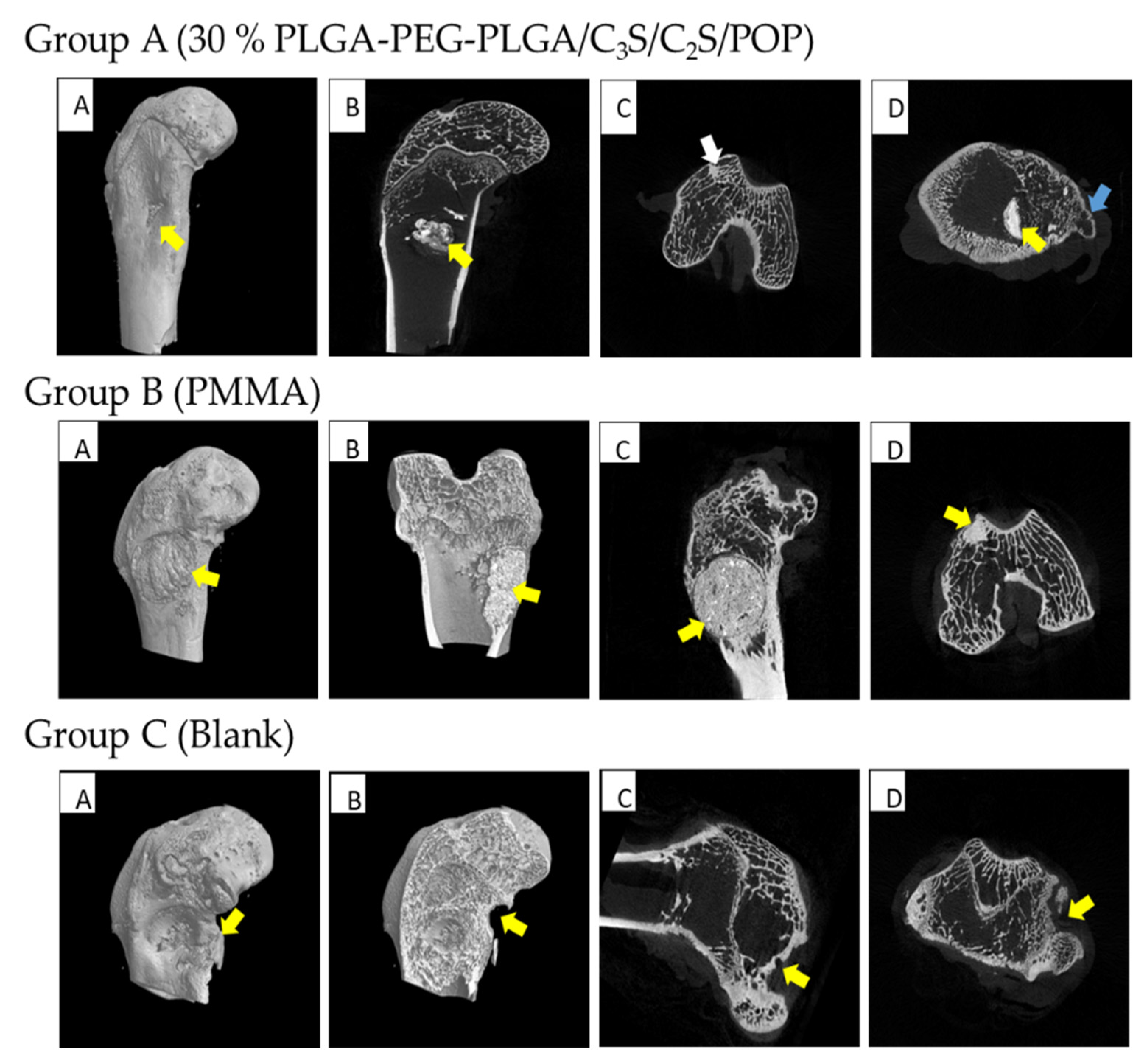 Polymers 14 03852 g015
