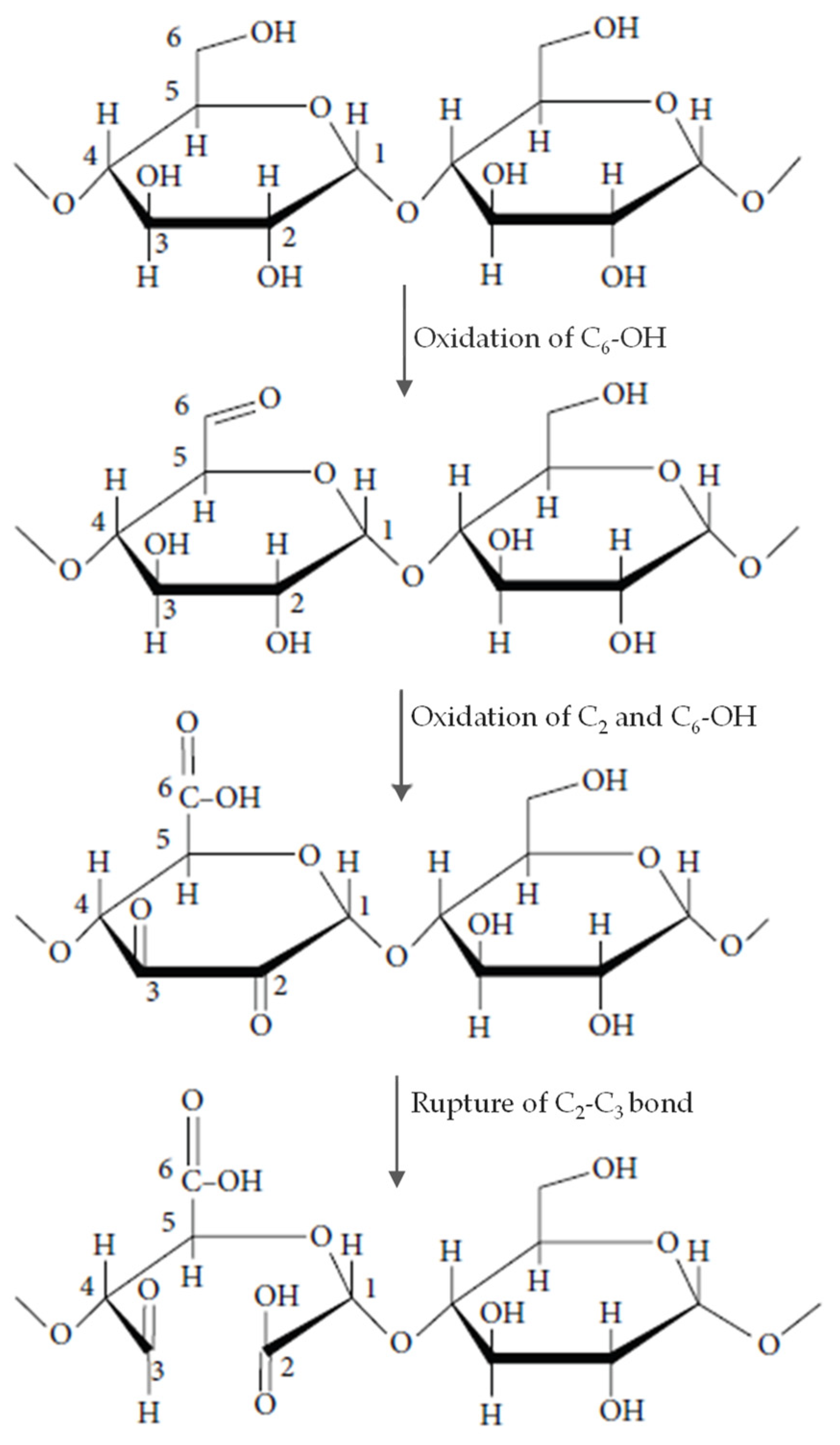 Polymers 14 03854 g003