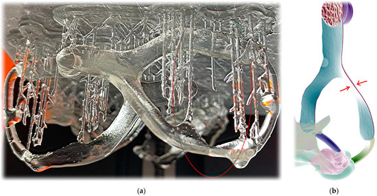 Polymers 14 03858 g0a2 550