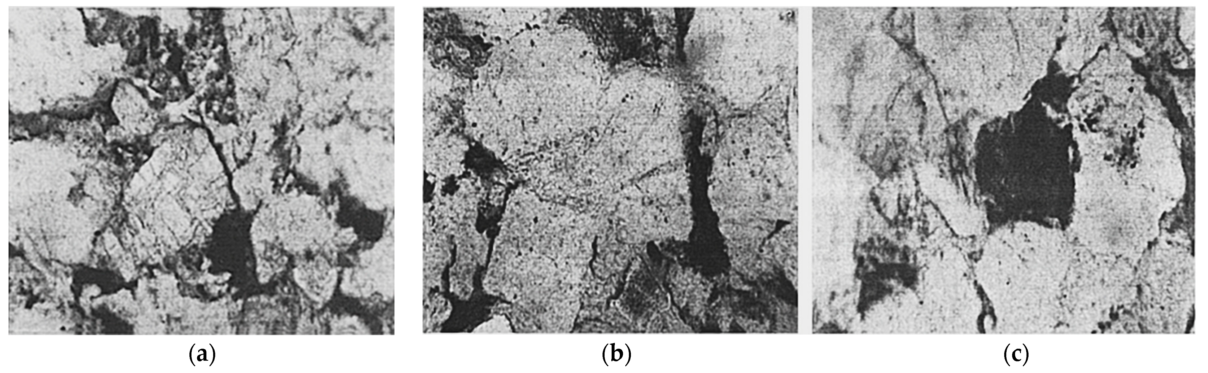 Polymers 14 03861 g008