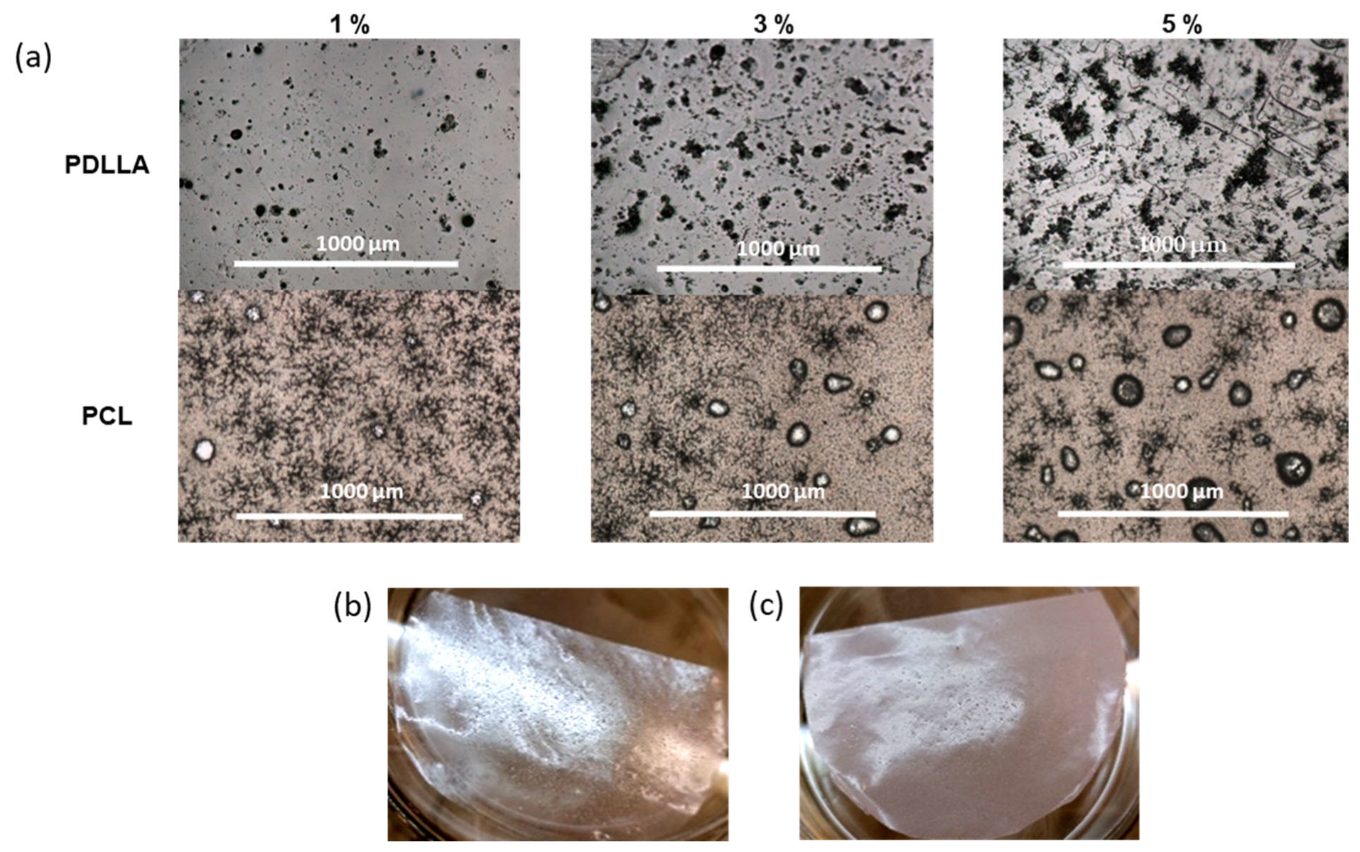 Polymers 14 03864 g006