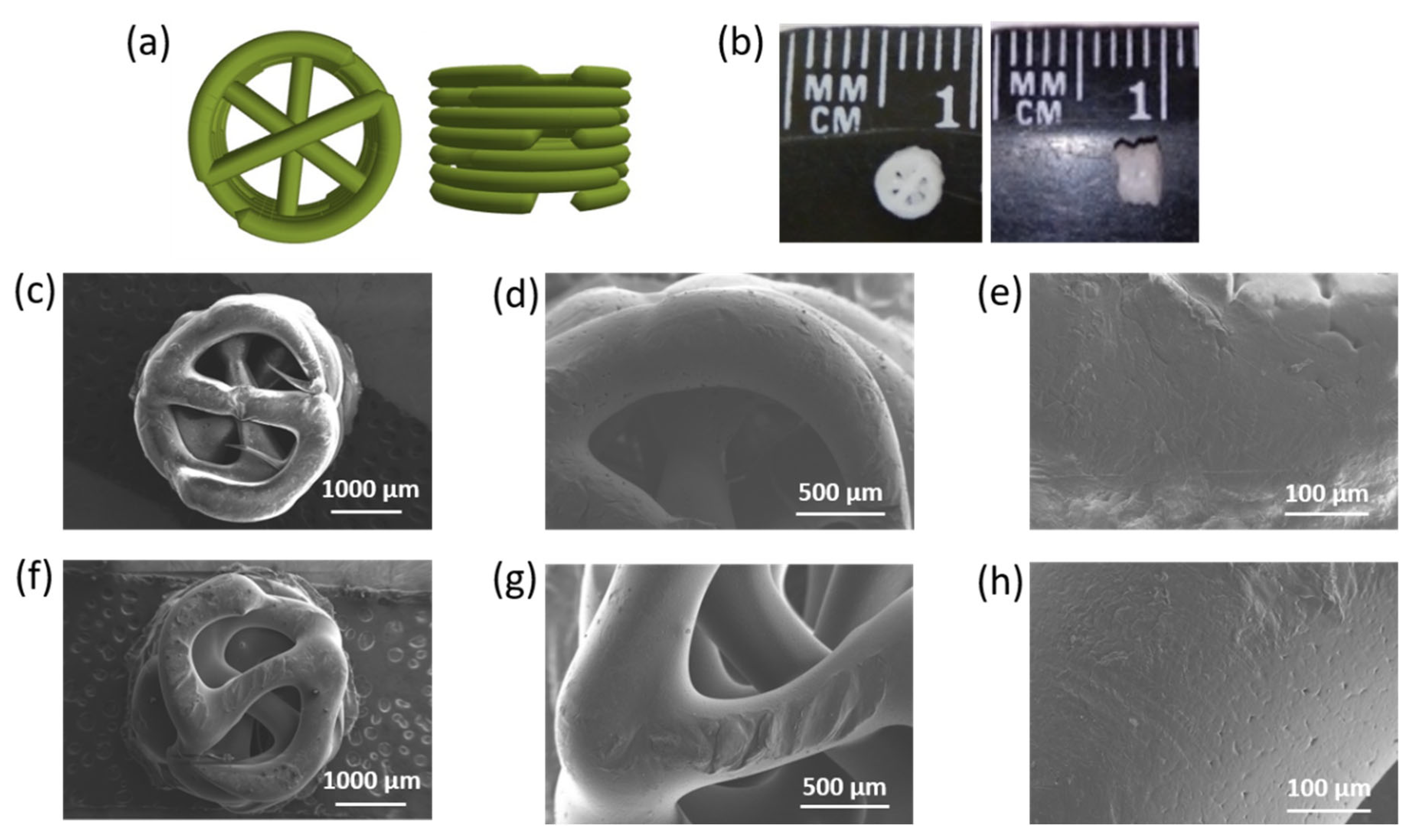 Polymers 14 03864 g007