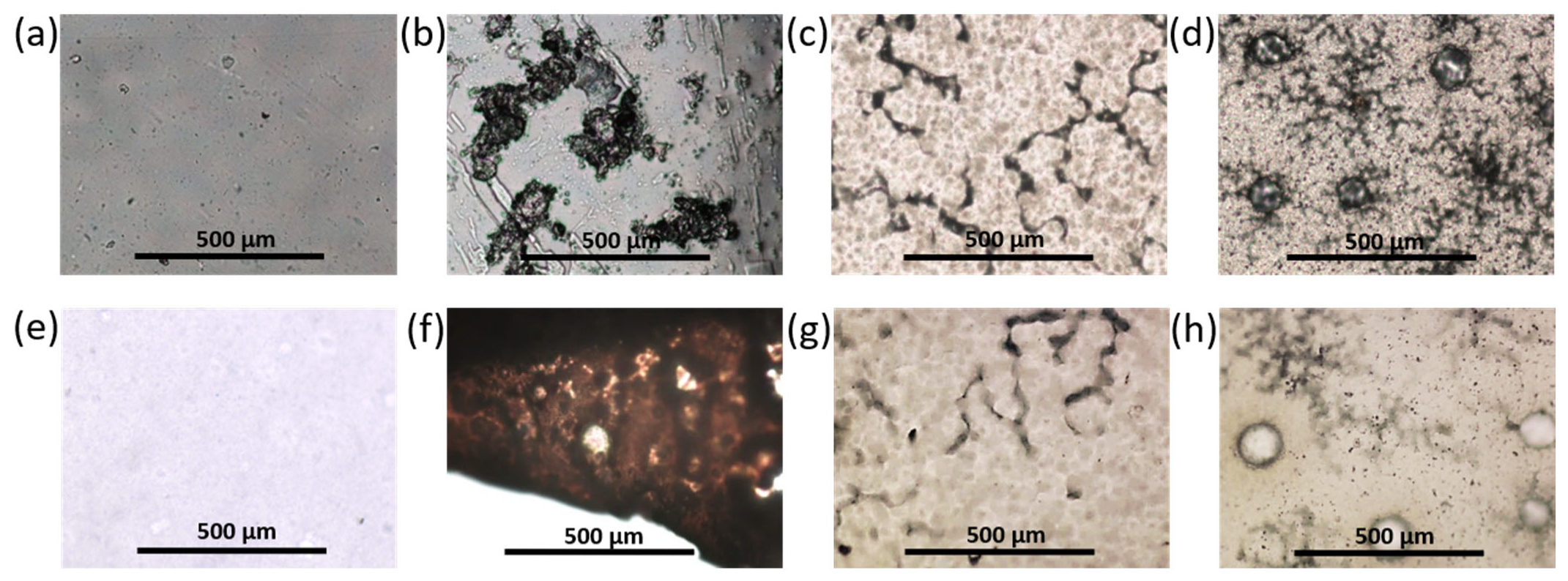 Polymers 14 03864 g013