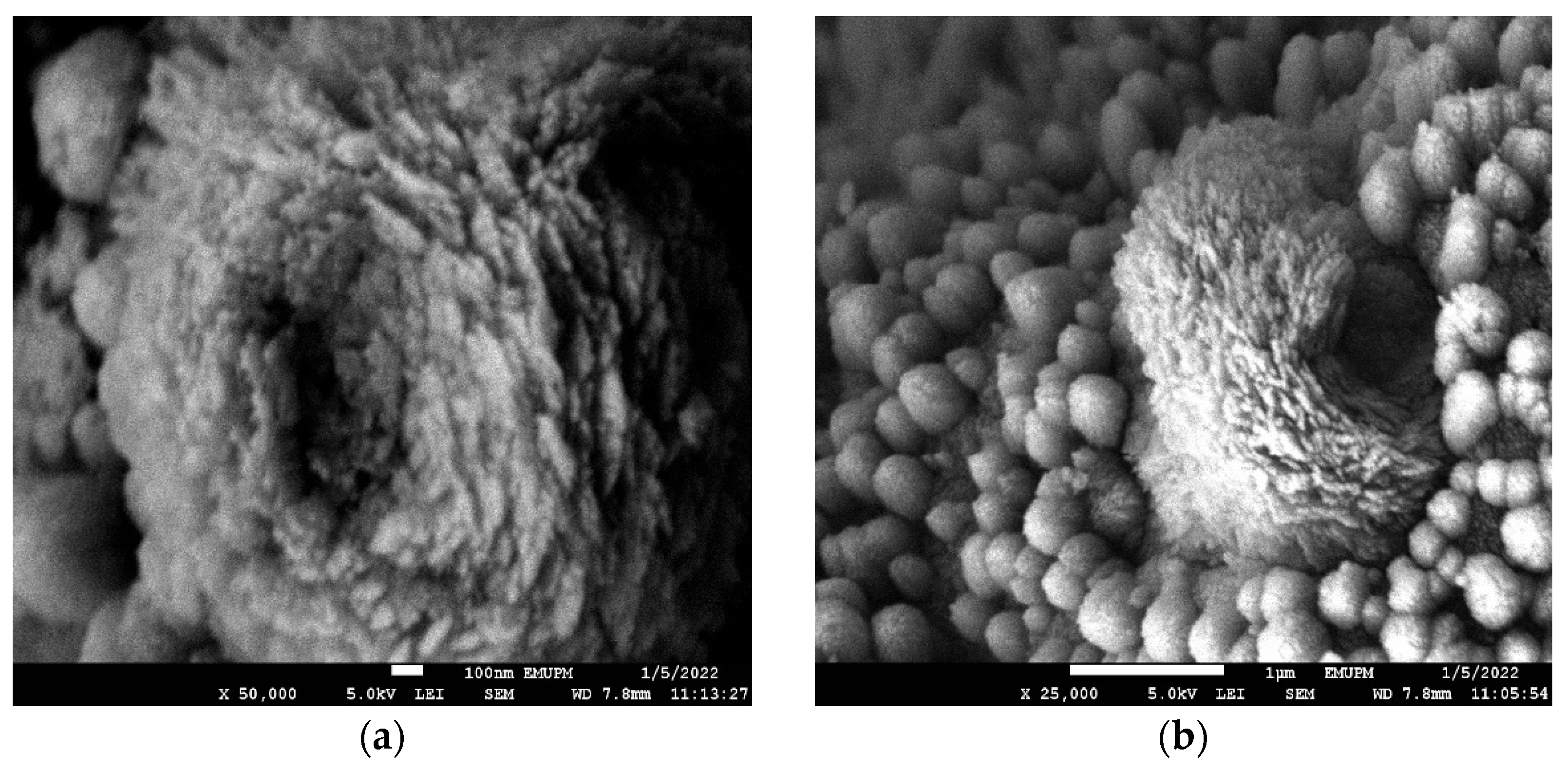 Polymers 14 03866 g007a