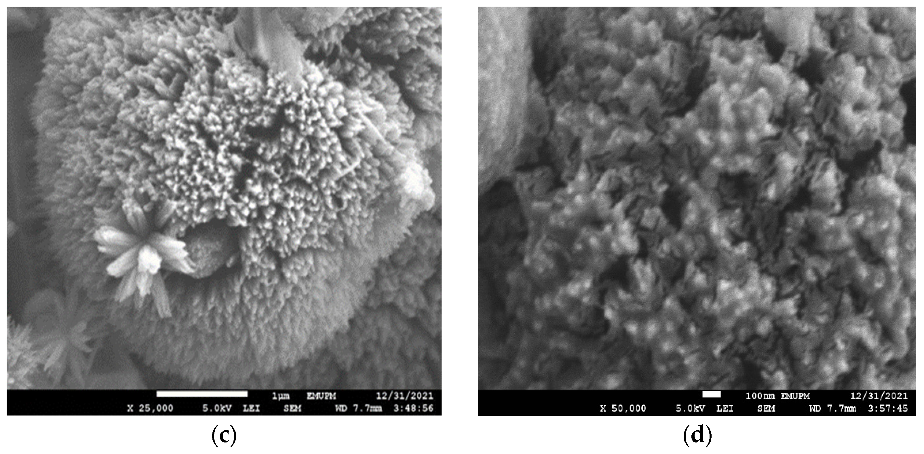 Polymers 14 03866 g007b